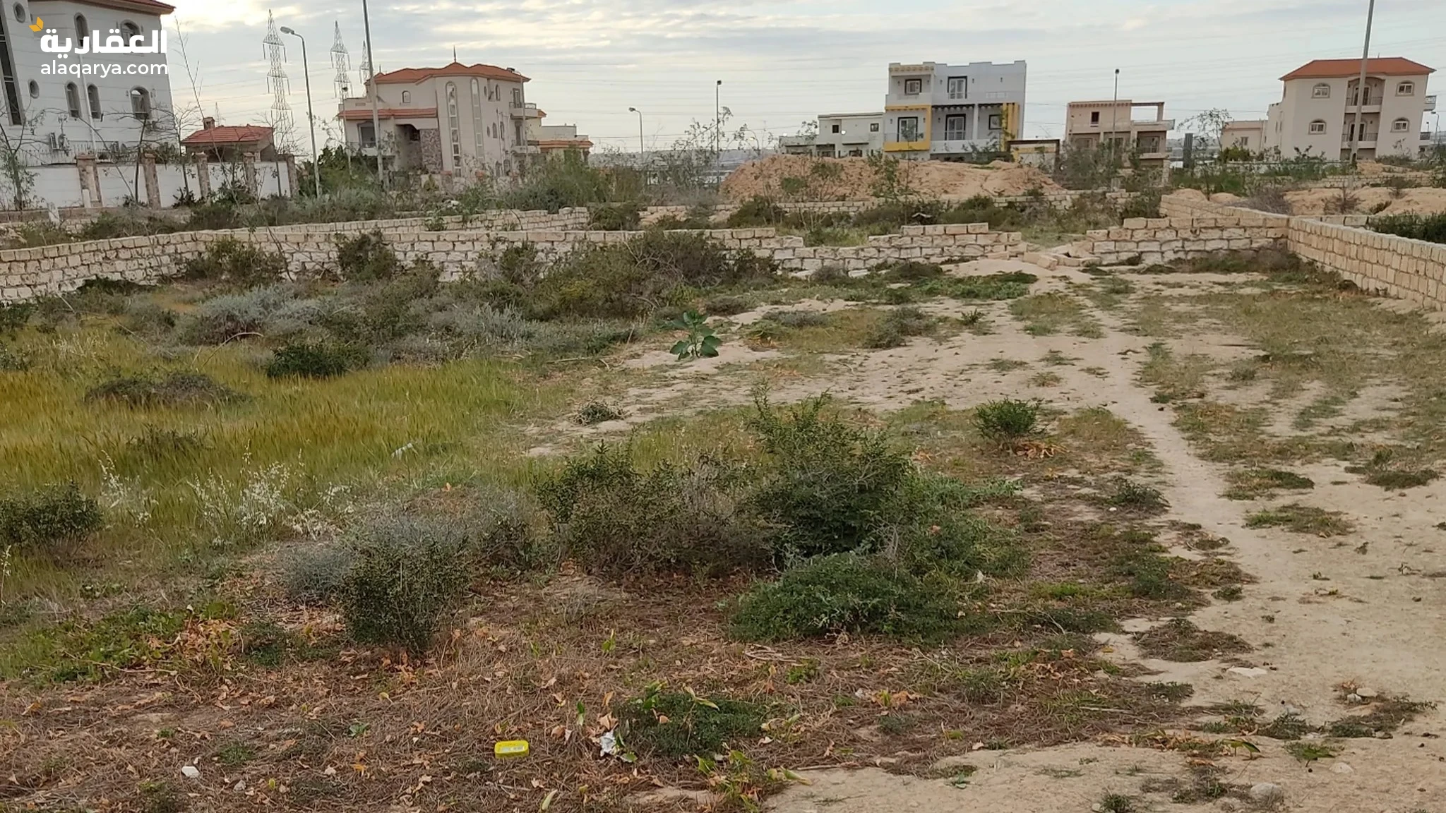 #أرض في تقسيم القضاه