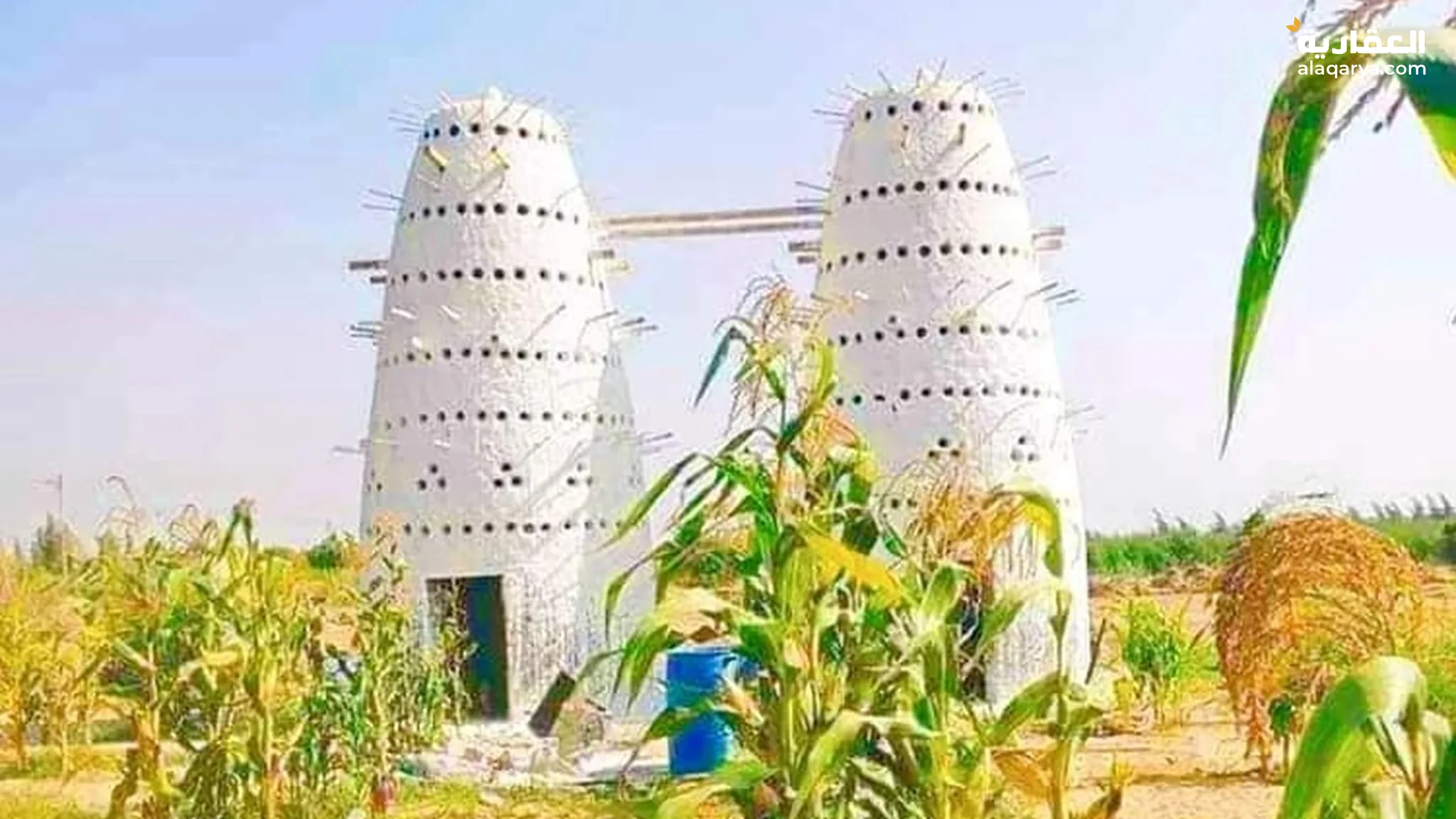 #مزرعه 23 فدان كامله المرافق