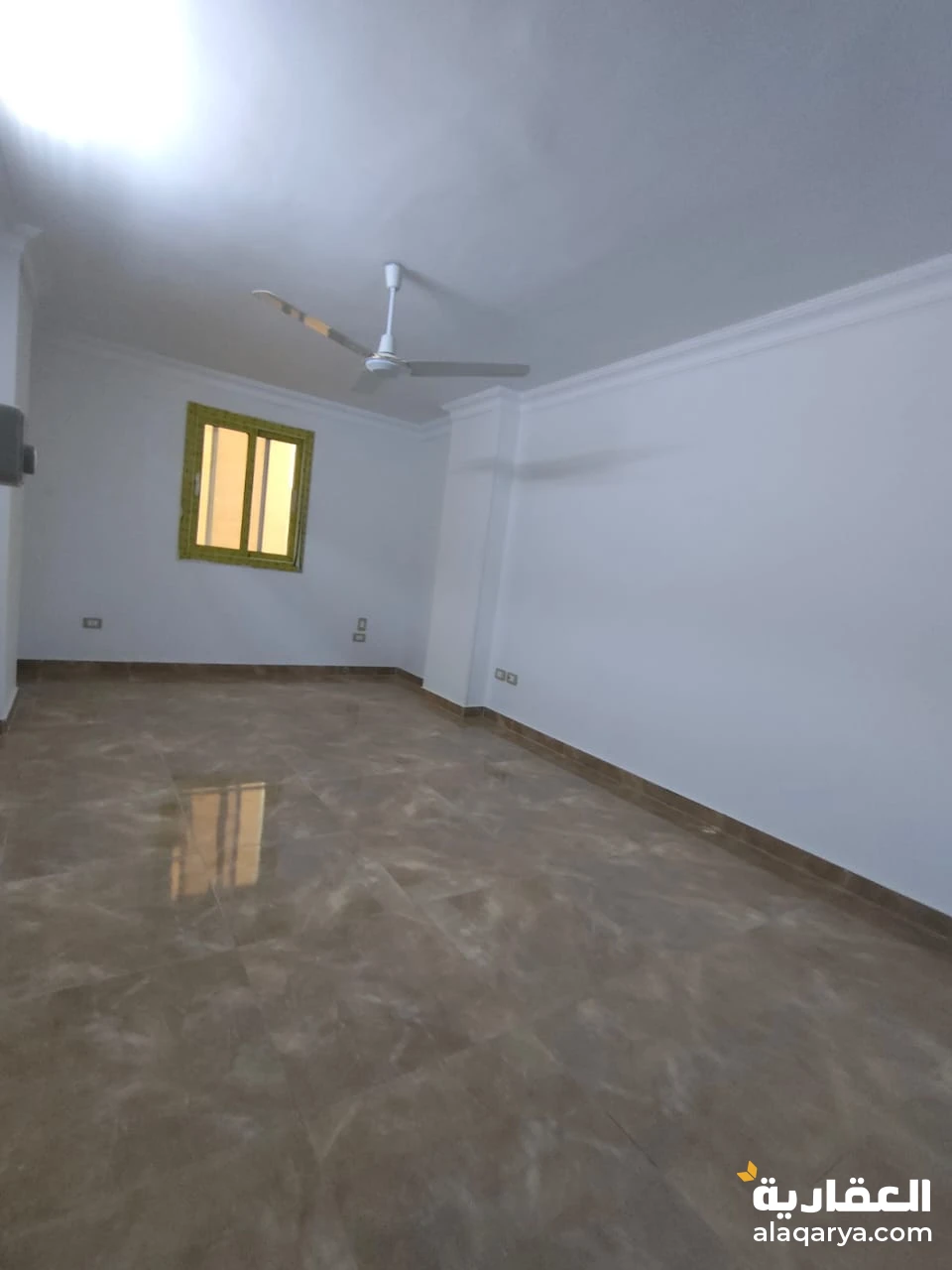شقه للايجار
