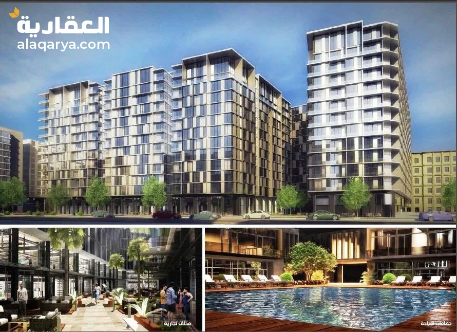 امام نادي وادي دجلة المعادي