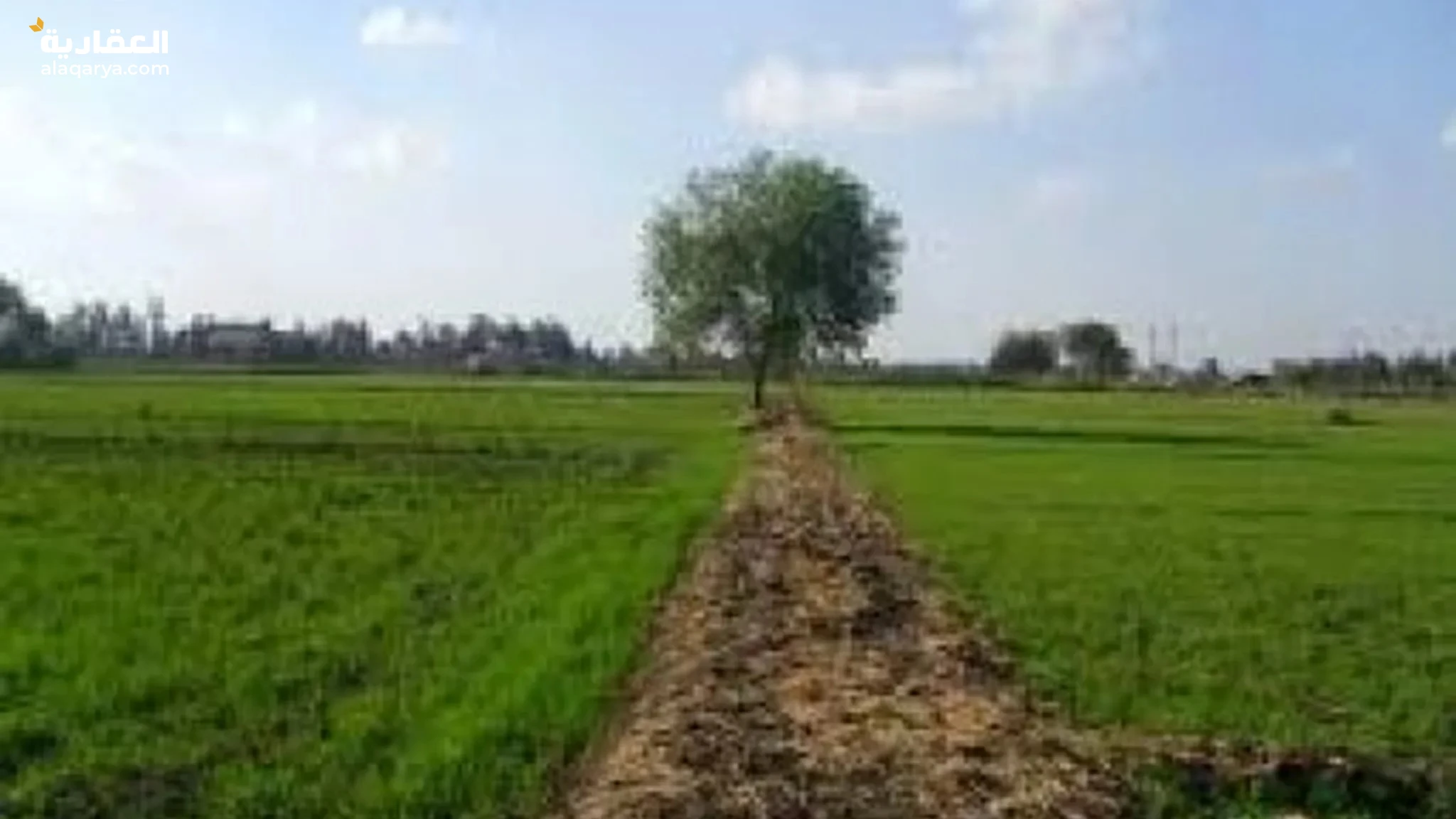 #أرض زراعية بطريق الإسكندرية الصحراوي للبيع