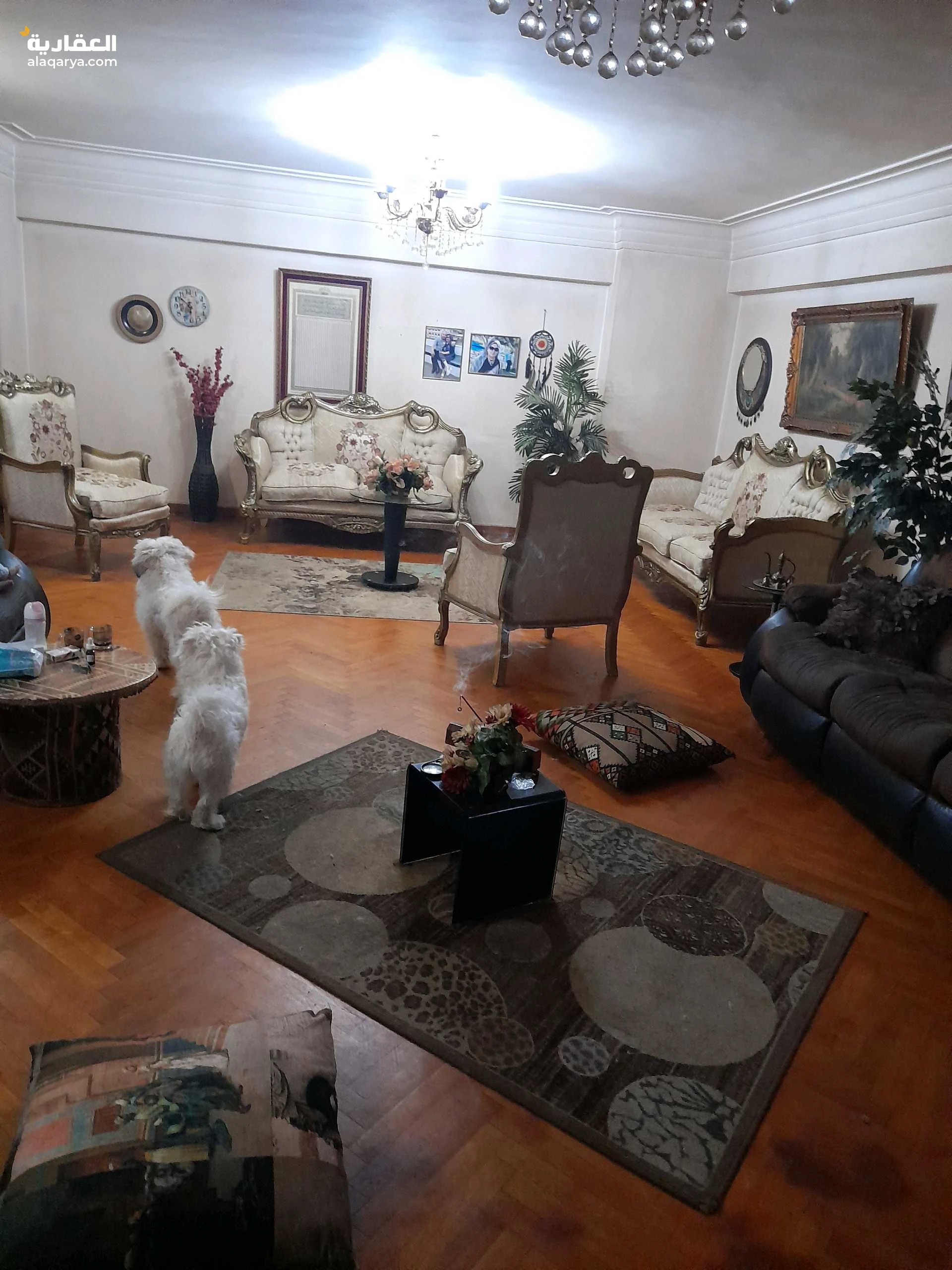 شقة للايجار تصلح لشركة كبرى أو معامل و عيادات