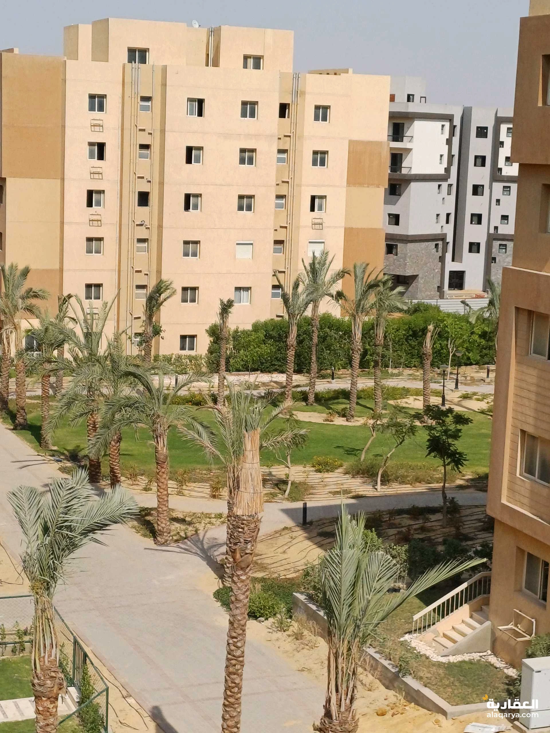 شقه ١٦٣ م نص تشطيب كموند أشجار ستي في اكتوبر