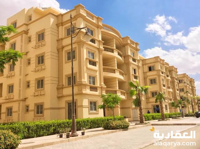 شبين الكوم متفرع من شارع حمام السباحه شارع الاستاد