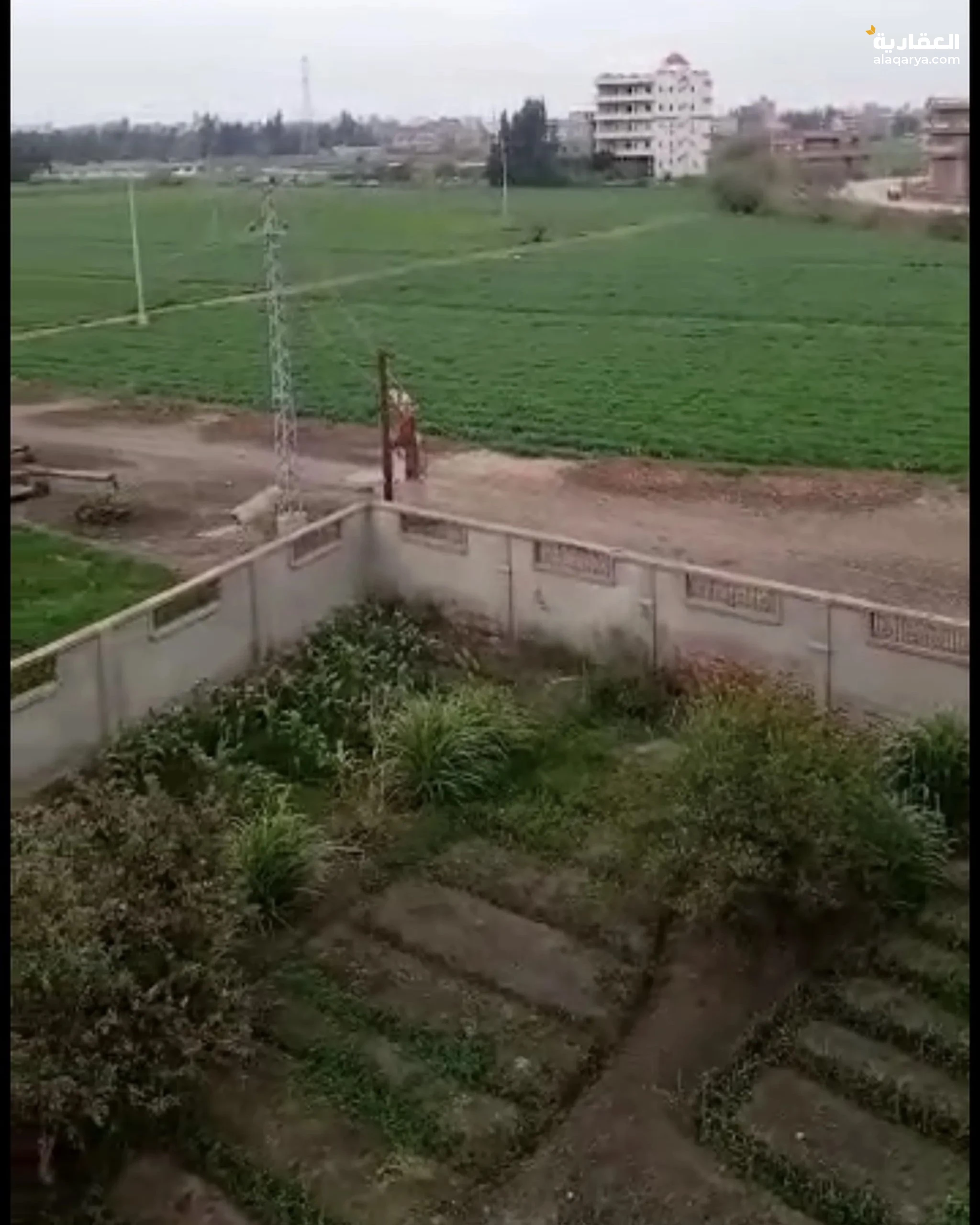 #عزبه للبيع 40قدان