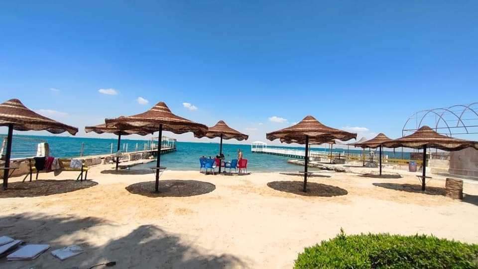 فايد شالية القبطان