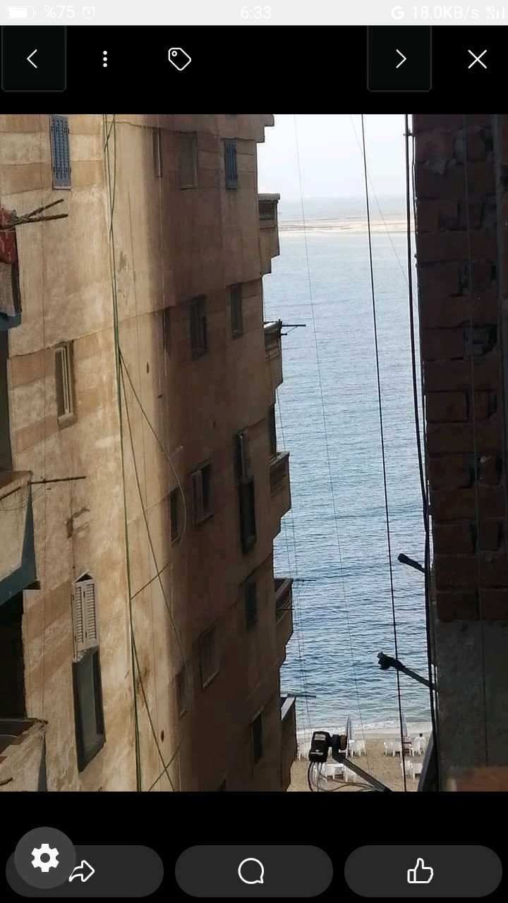 شقه ايجار مفروش