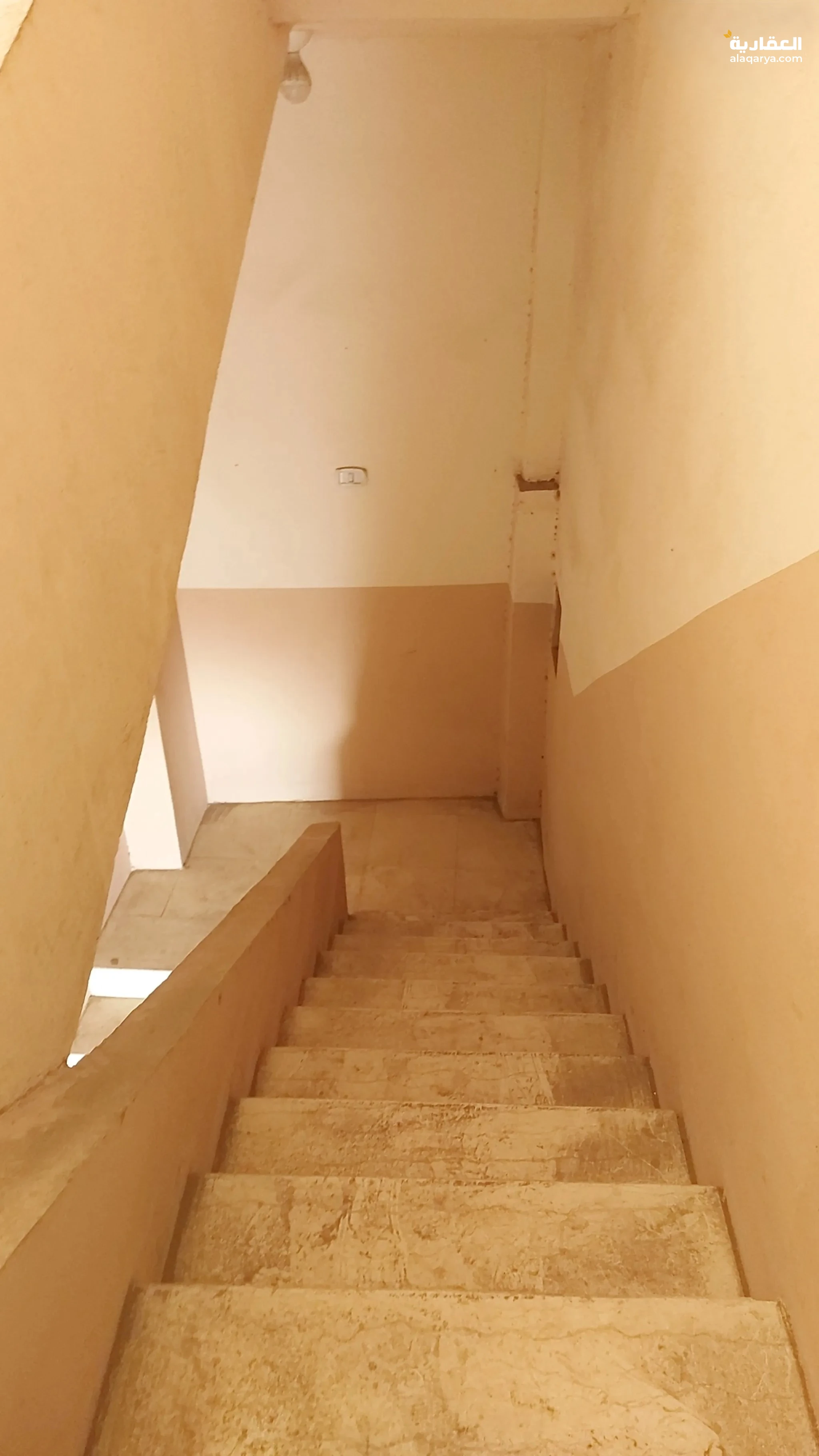 @ للبيع عمارة بمساحة 100 متر في الدقهلية