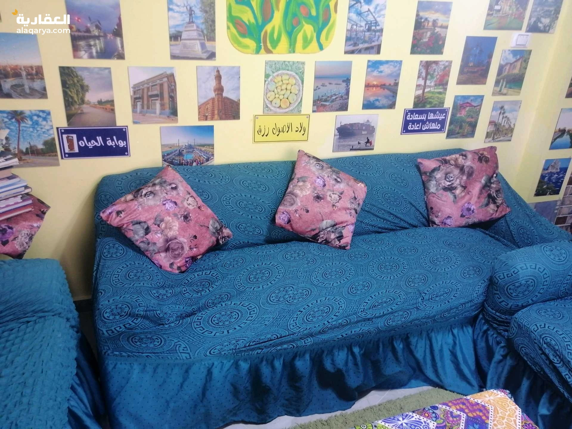 شالية للايجار فايد القبطان