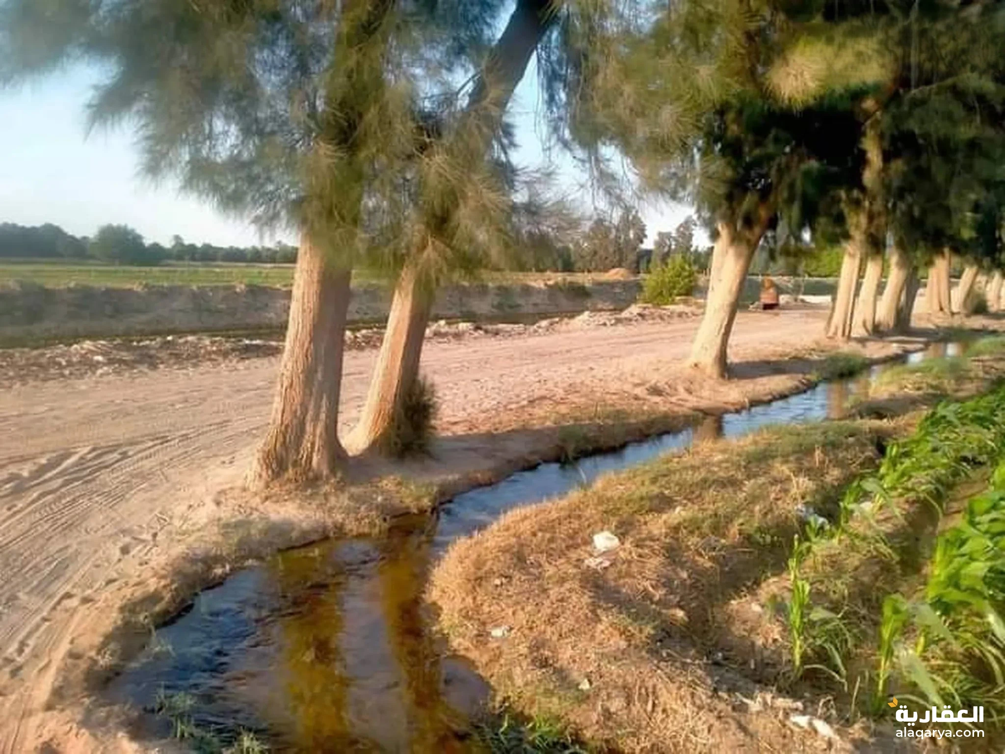 #مزرعه للبيع 110فدان علي الاسفلت مباشر مرخصة انتاج حيوانى كهرباء حكومي 3فاز _ مياة شرب _طينيه