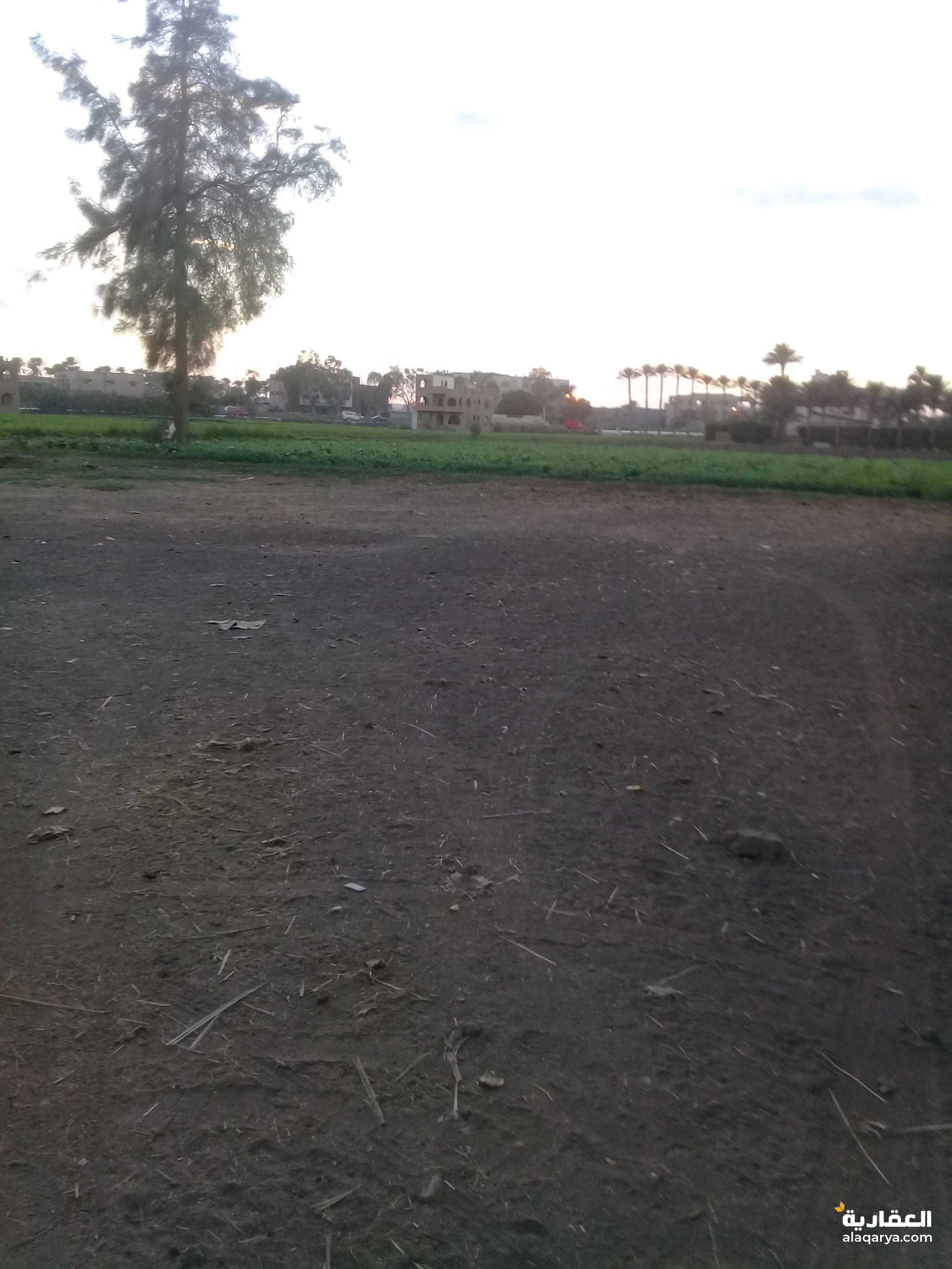 نصف فدان بلمريوطية هرم بعد الدائري والممشى السياحي بجوار فندق كتاركت براميدز