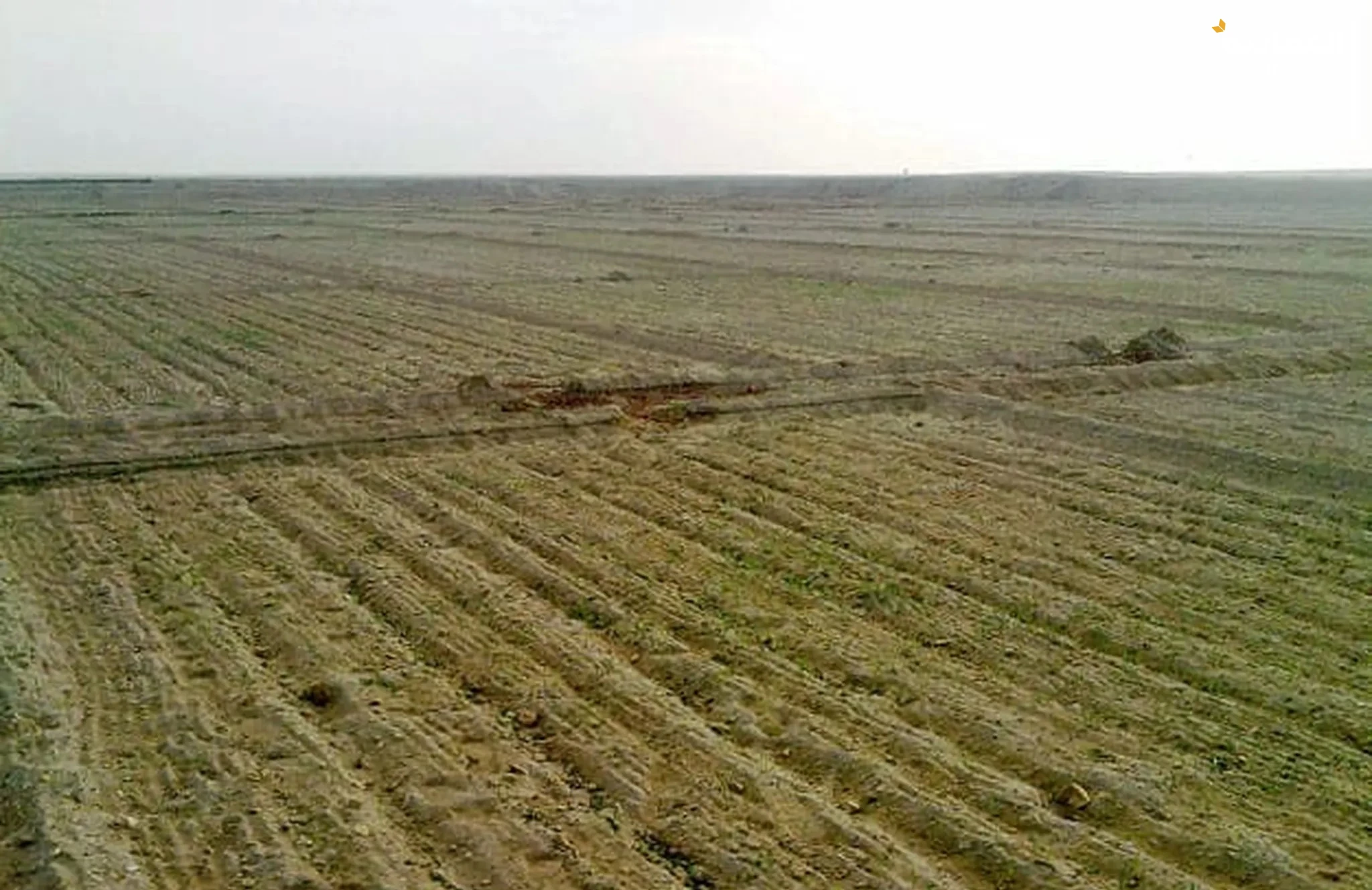 #للبيع بالداخلة - محافظة الوادي الجديد .