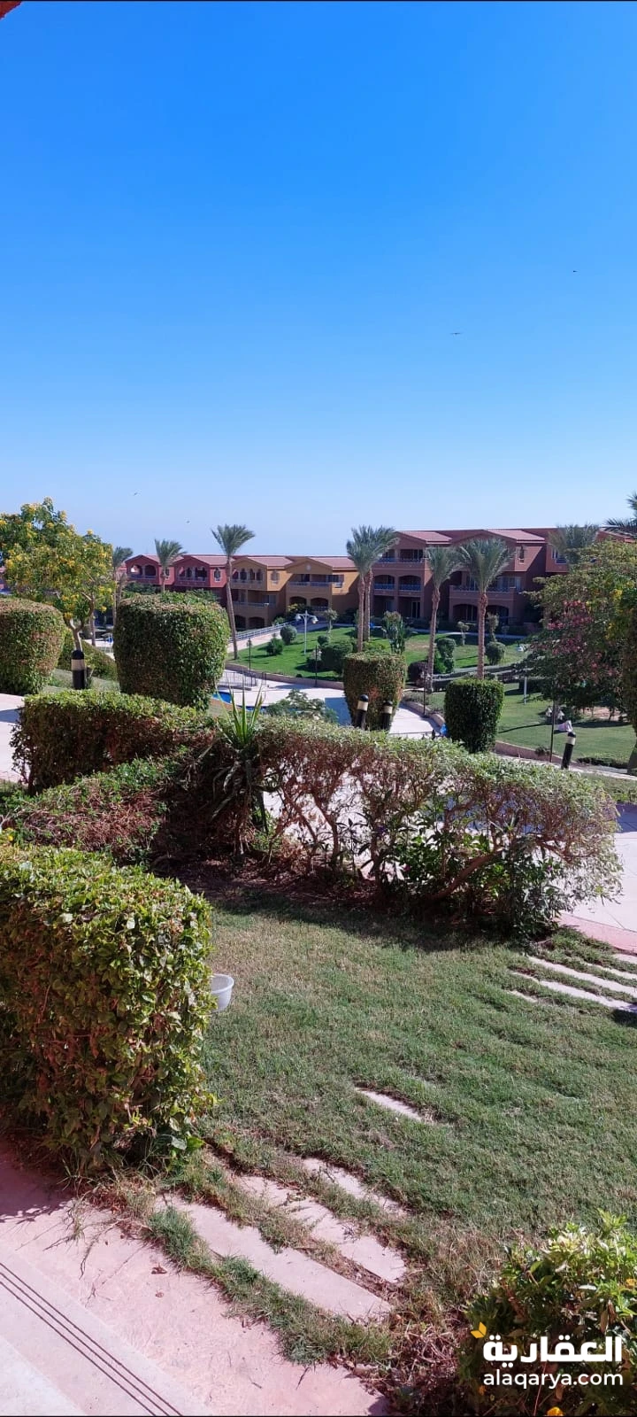 العين السخنة بانوراما