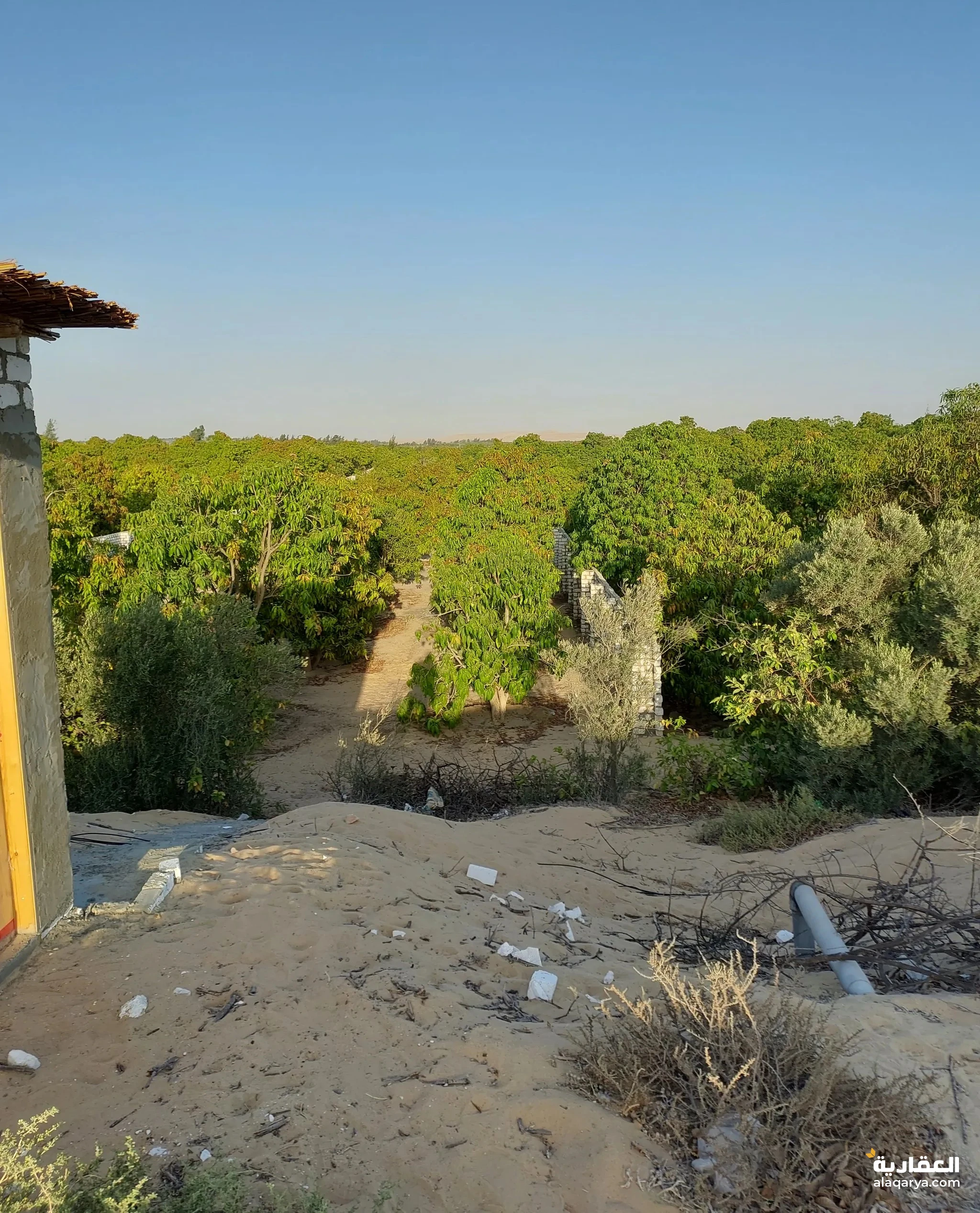 #استرتحه ملكيه