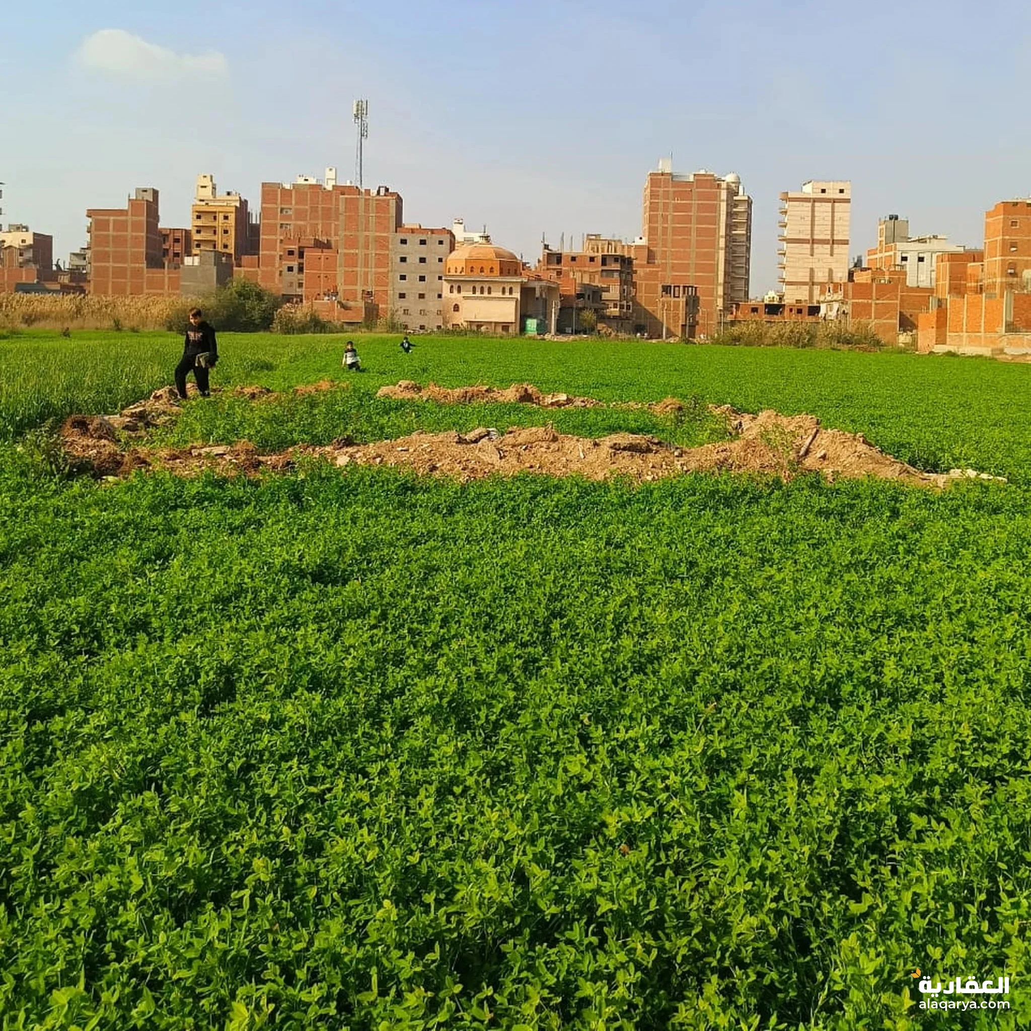 #ارض للبيع كردون مباني