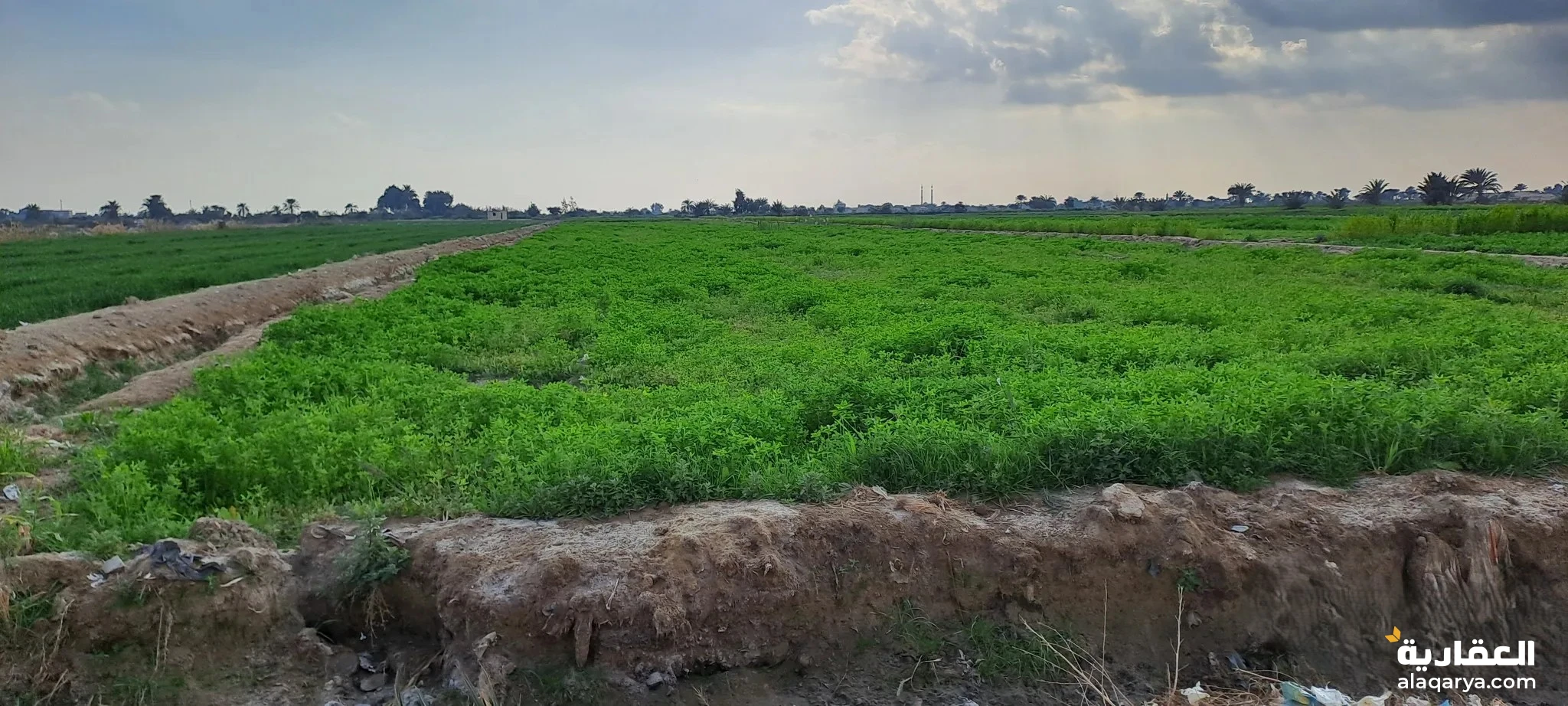 #ارض للبيع و فيلا للبيع