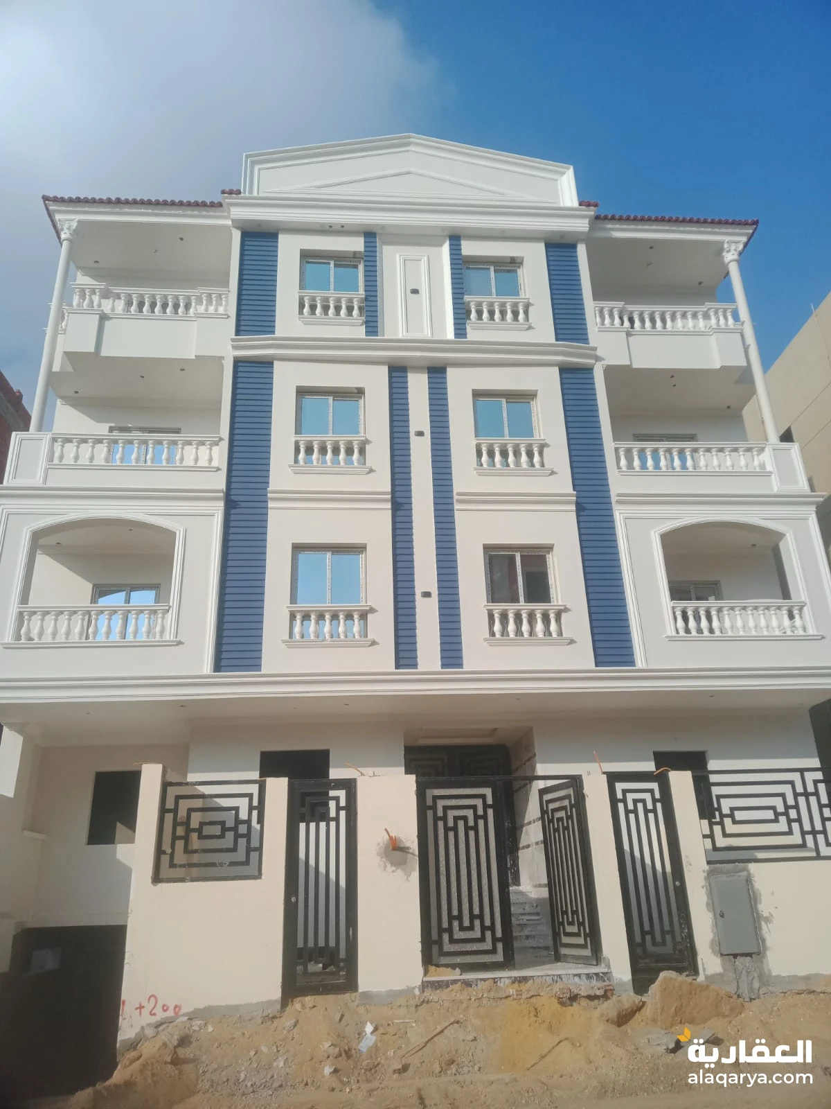 النرجس الجديدة