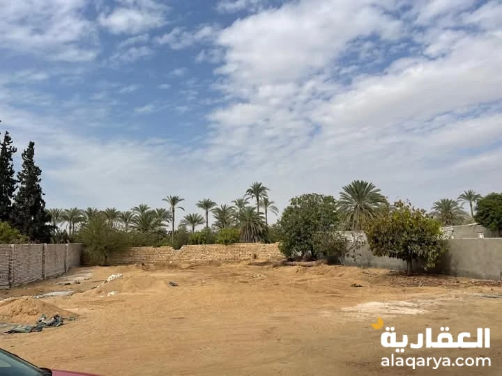 جمعية احمد عرابي