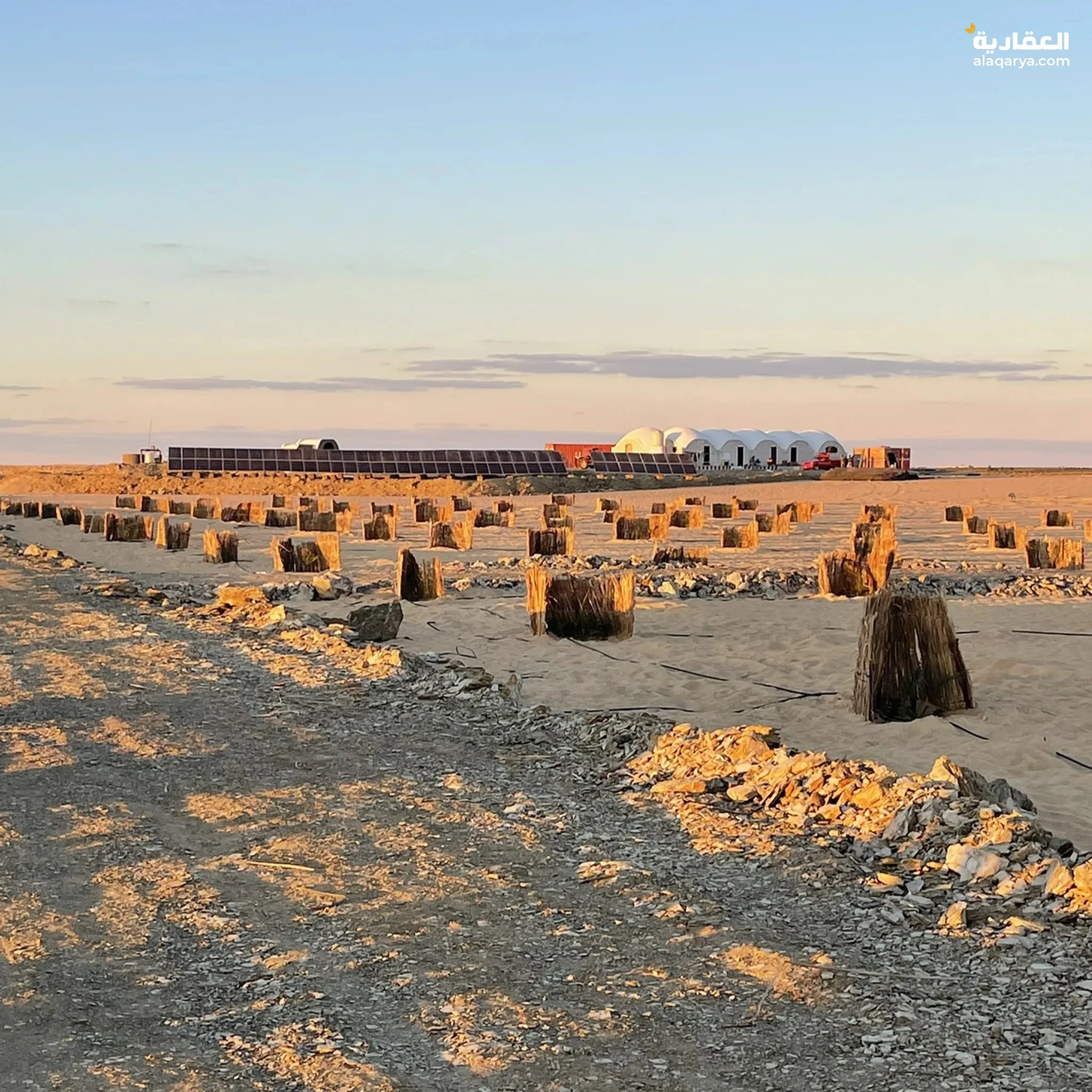 #اراضي مزروعه للبيع