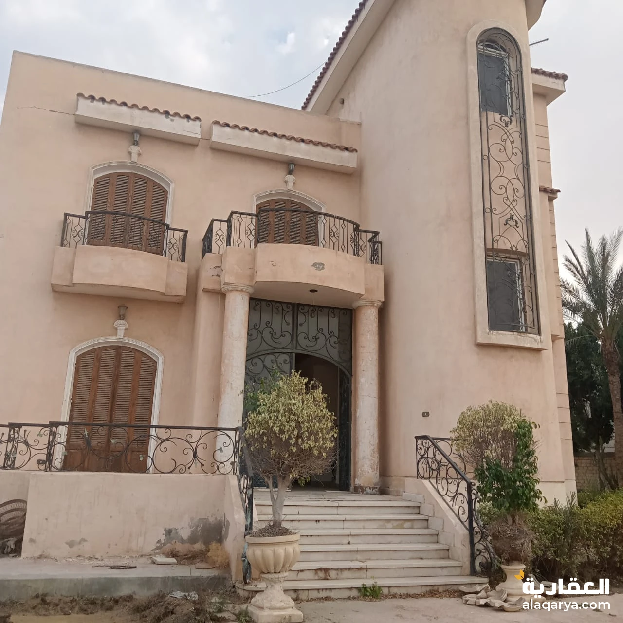 جمعية احمد عرابي بالعبور