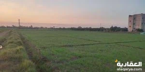 #أرض زراعية بطريق الإسكندرية الصحراوي للبيع