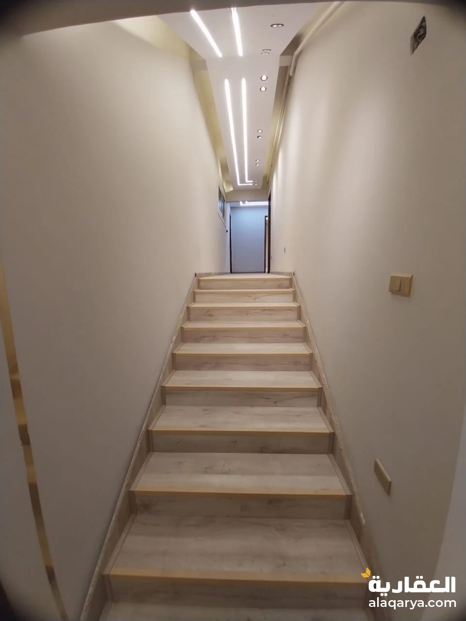 شارع المتحف البحر الصغير