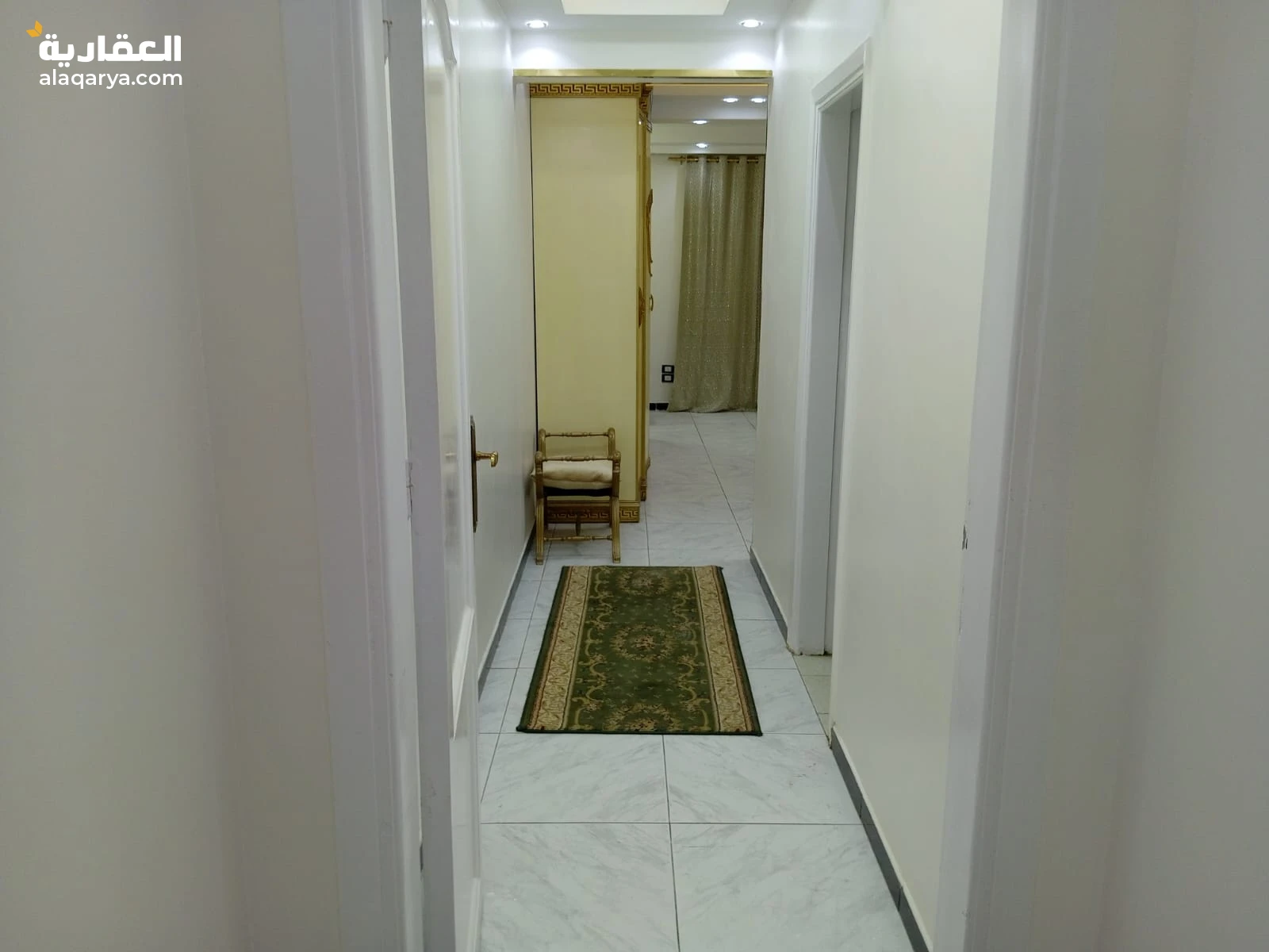 شارع المنيل الرئيسي