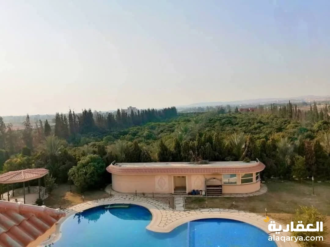 قصر للبيع جمعيه احمد عرابي العبور القاهره مزرعه بها 3 قصور فخمه بطراز فرنساوي