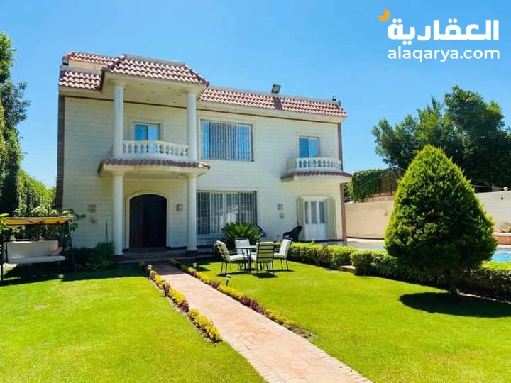 الاسكندرية كينج مريوط