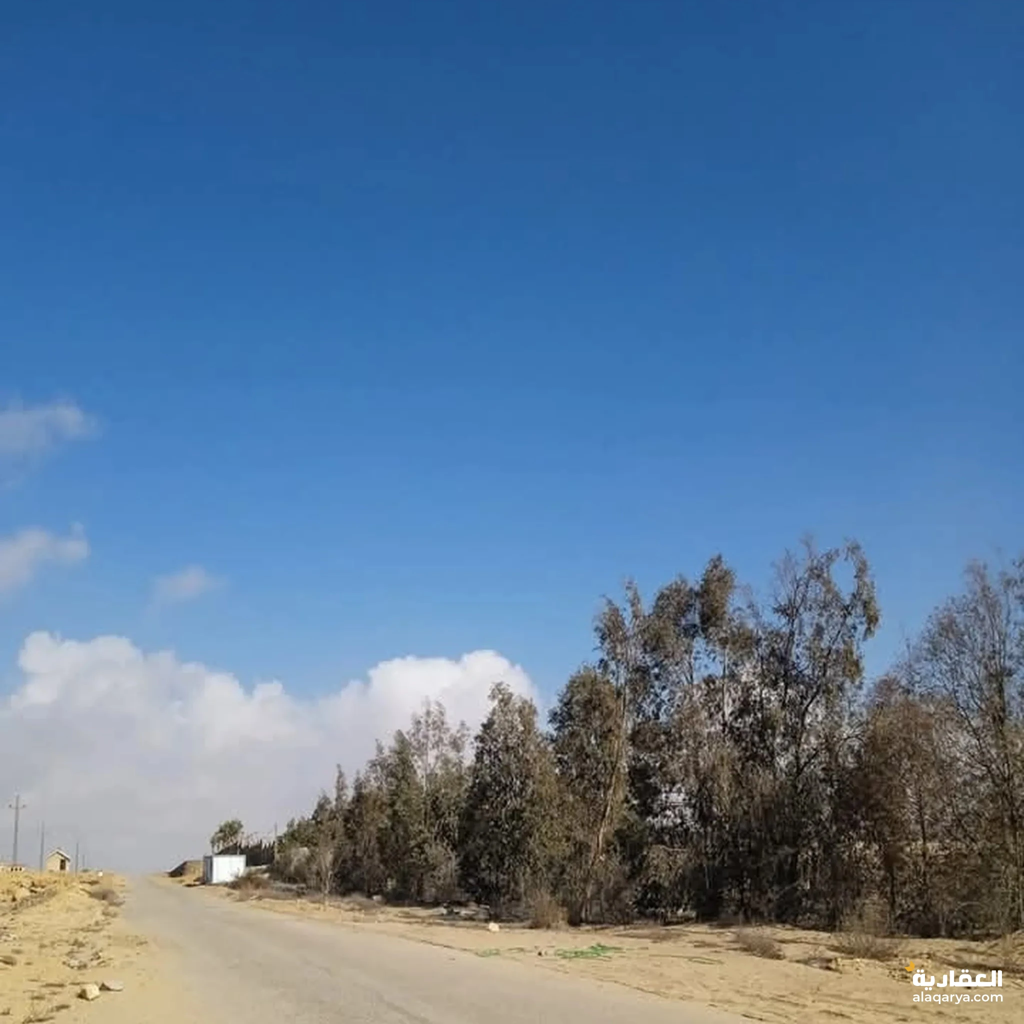 #للبيع 2فدان في #الوادي_الأخضر -