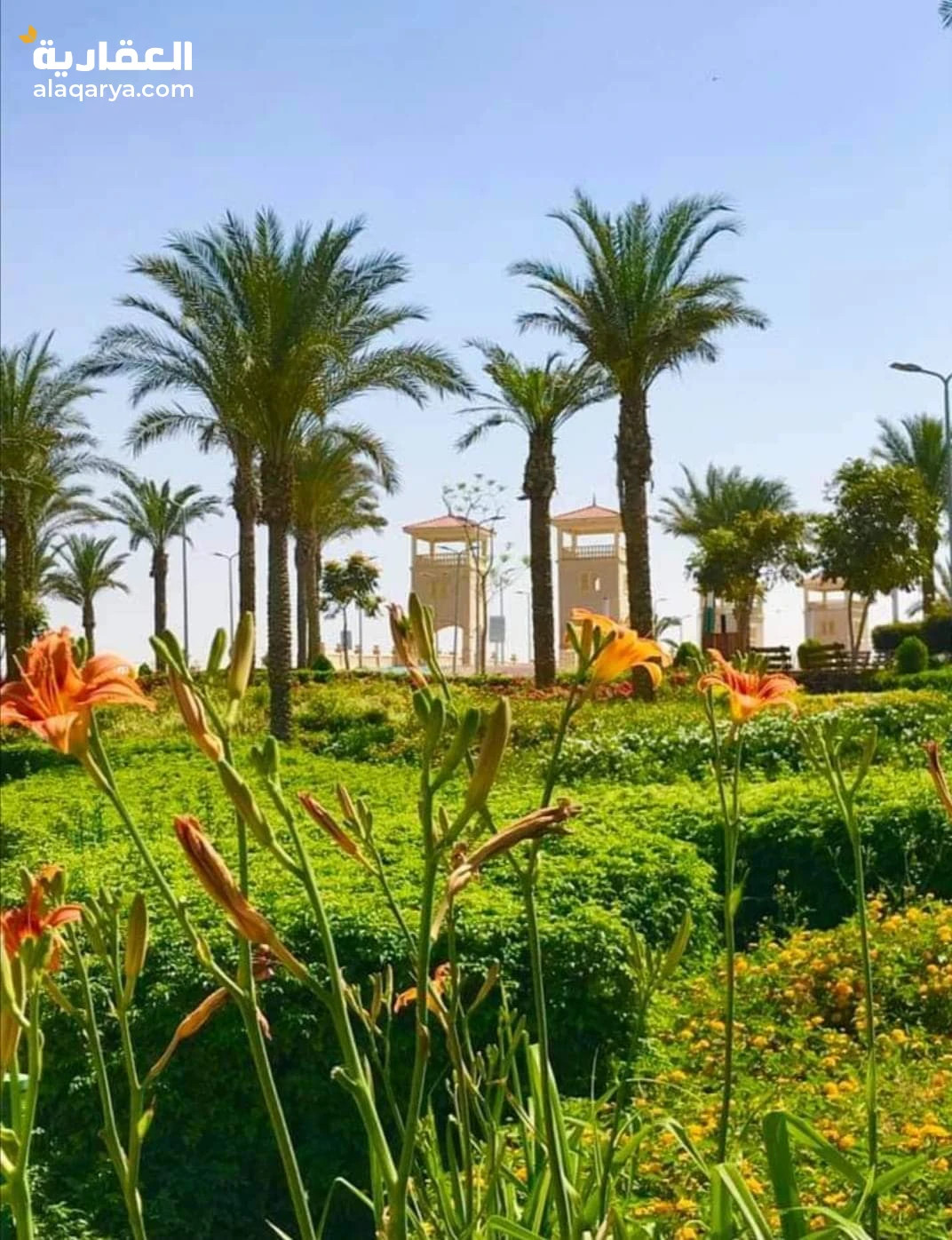 شقة ١٢٠ متر بمدينة المستقبل