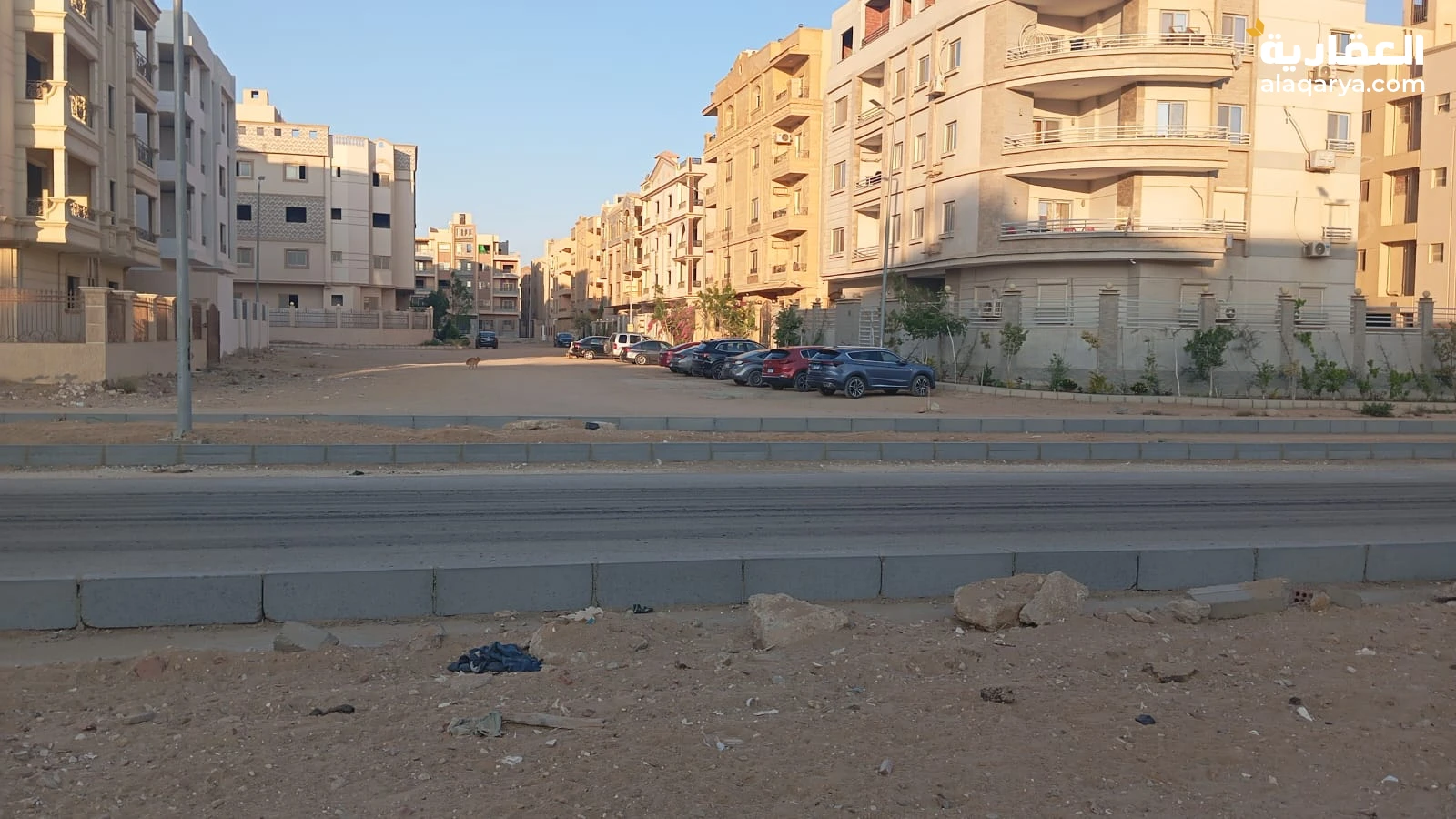 شارع نجيب محفوظ مدينه نصر