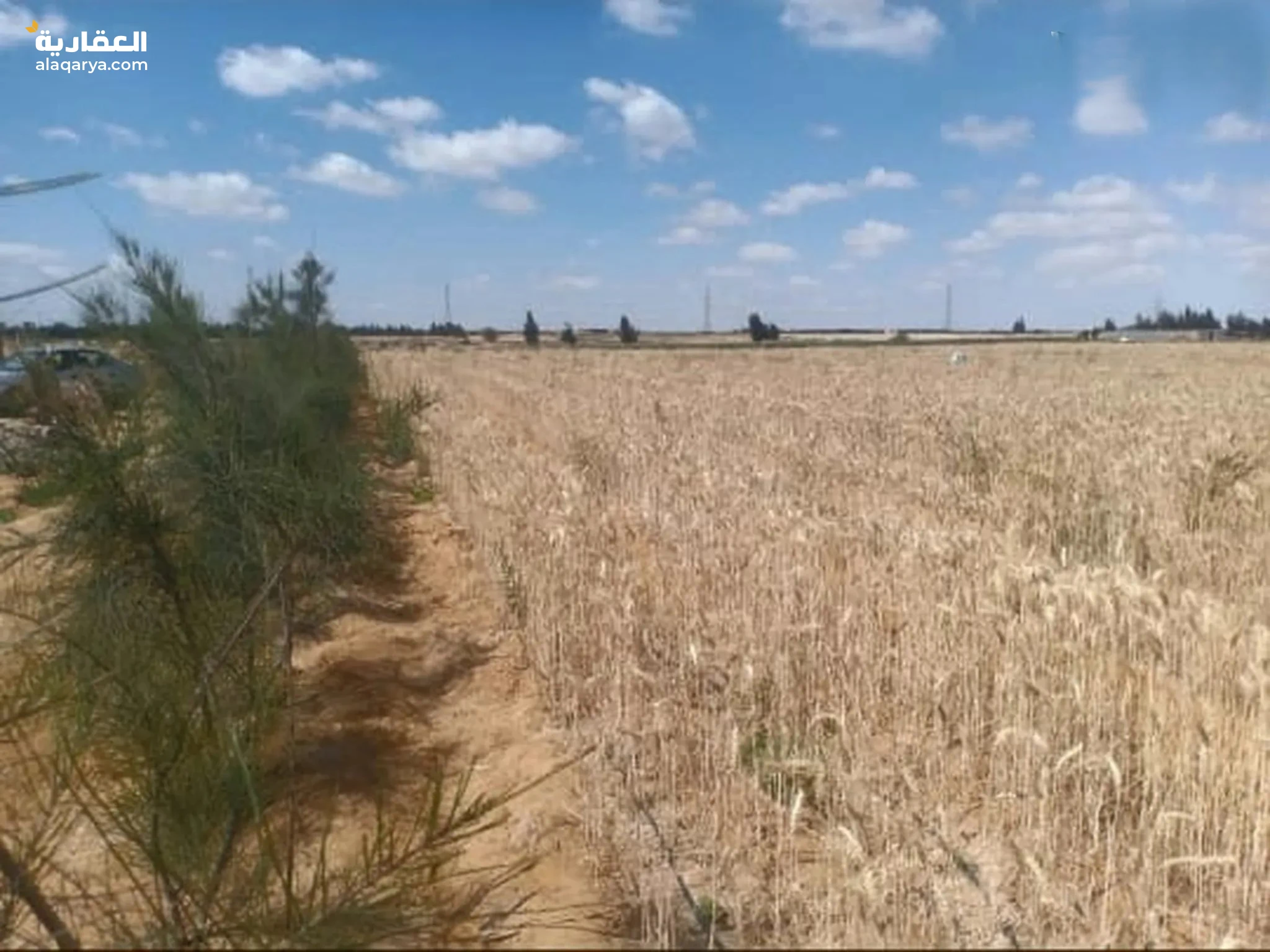 #مزرعه 9 فدان فى وادى النطرون