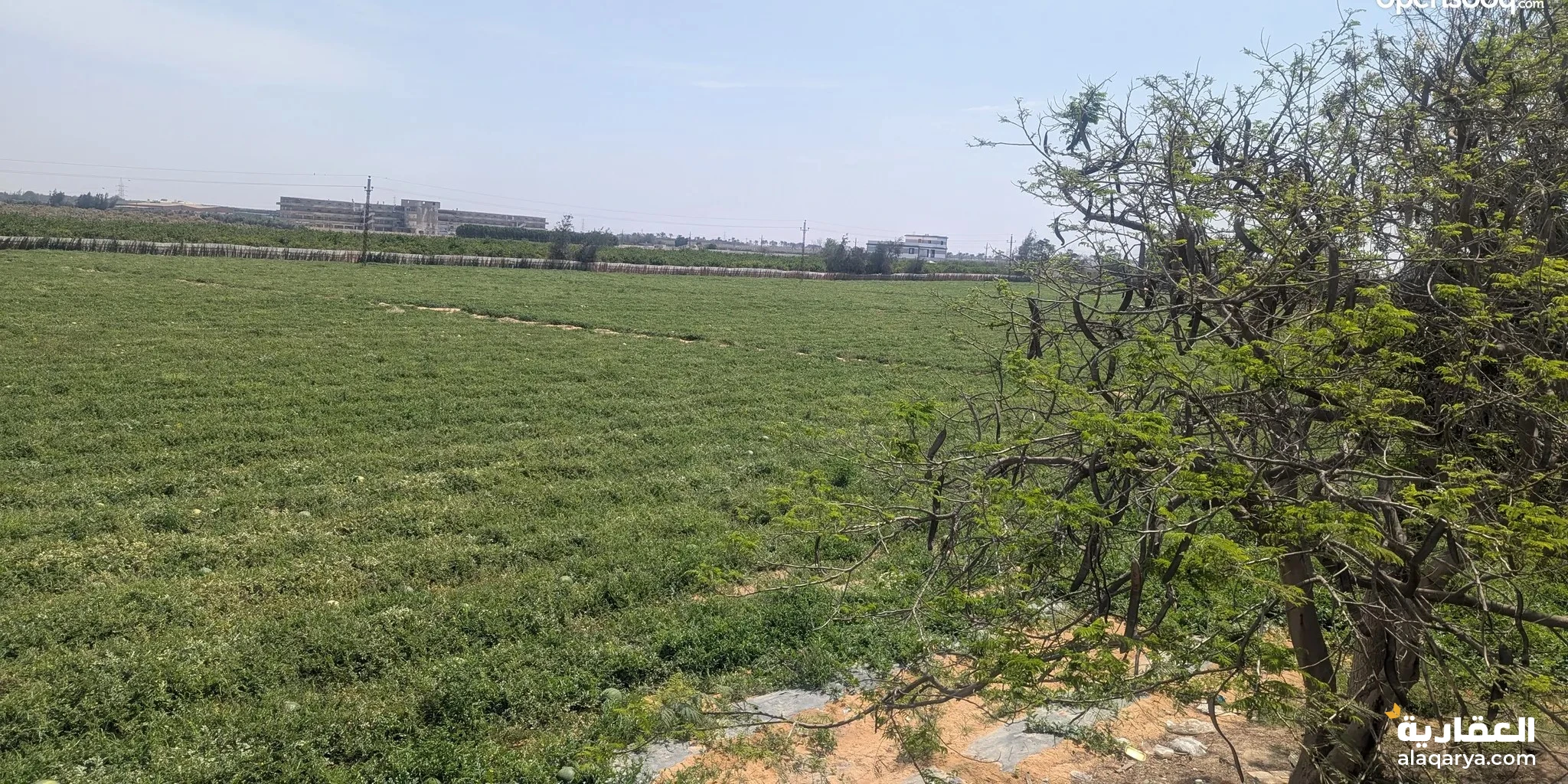 #للبيع 90 فدان بالكيلو 76 طريق القاهرة/الأسكندرية