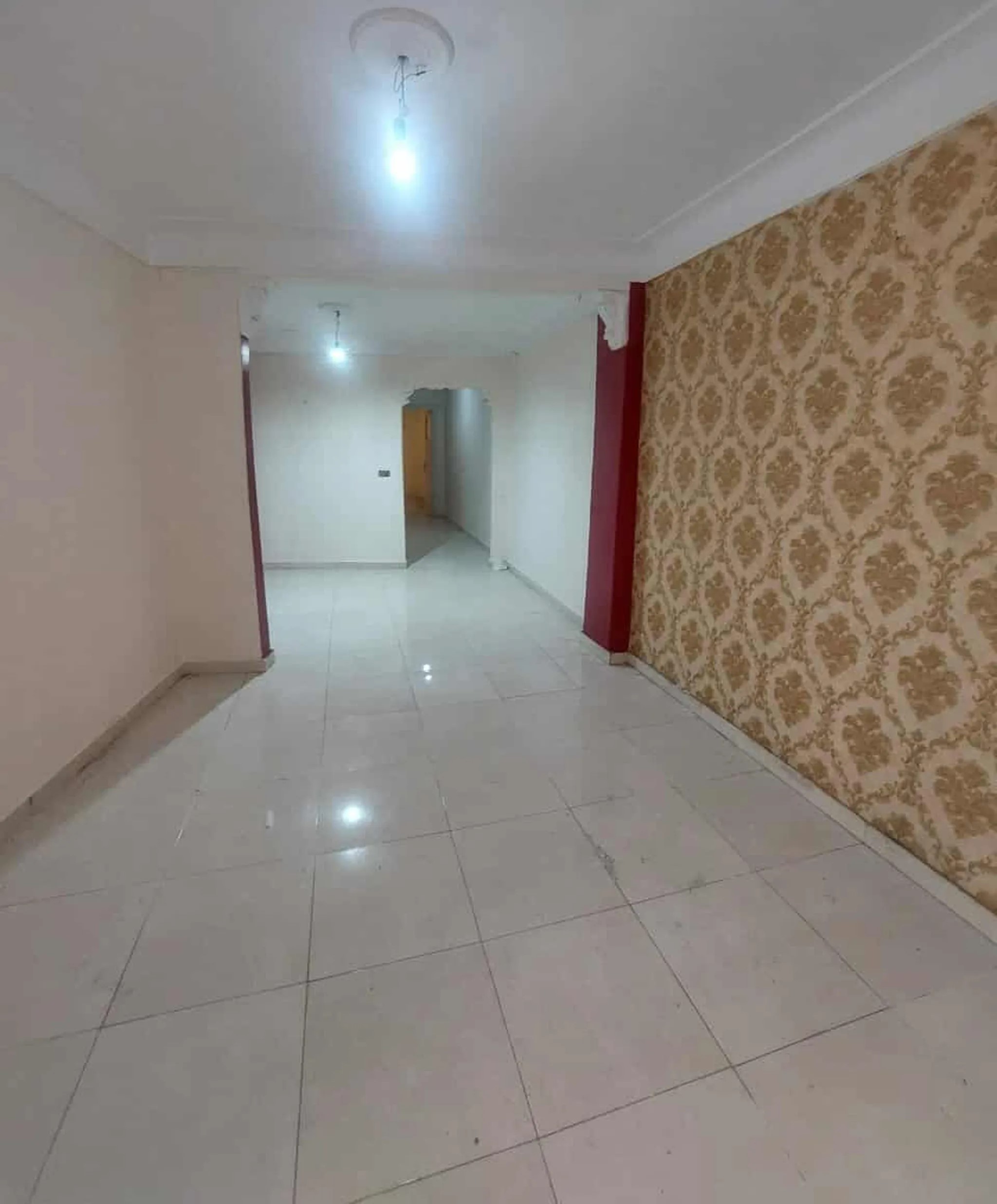 #شقه للايجار العصافرة موقع هادي شارع البستان موازي جمال عبد الناصر