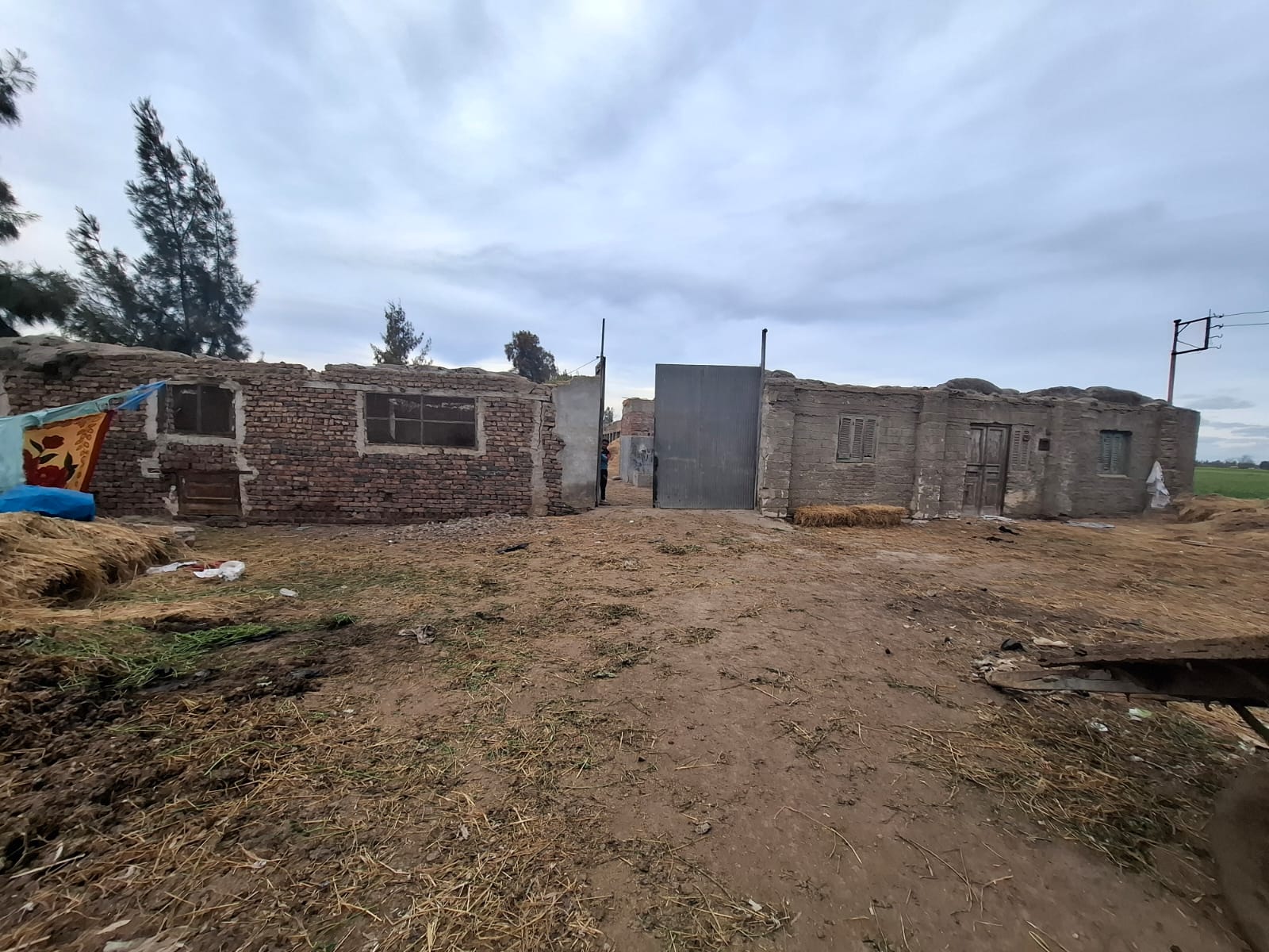 مزرعة للبيع بسعر لقطه