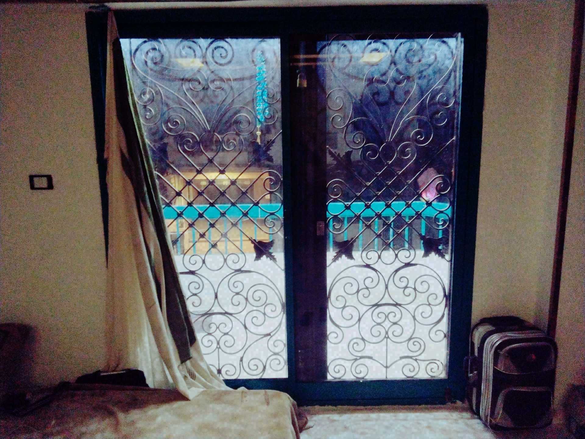 الاسكندريه النخيل العجمي