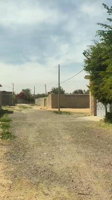 #ارض لقطه للبيع تصلح جميع الاغراض بسعر حصرى 500 م الناصريه القديمه ثان العامريه تصلح جميع الاغراض