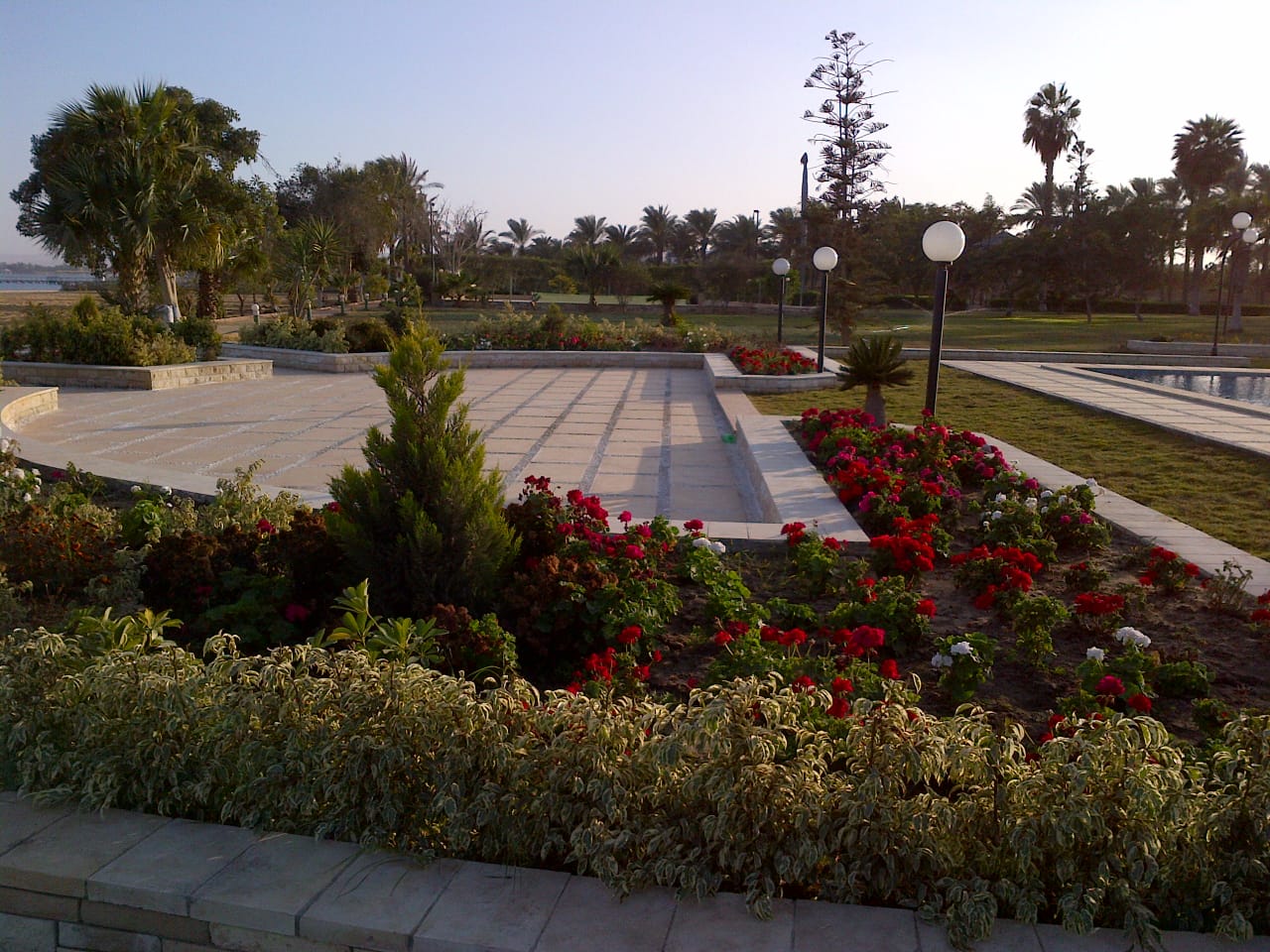 فايد طريق السواحل