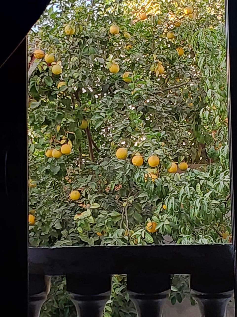 فيلا فاخرة للبيع في أرقى مواقع مدينة الشروق – منطقة المستشارين