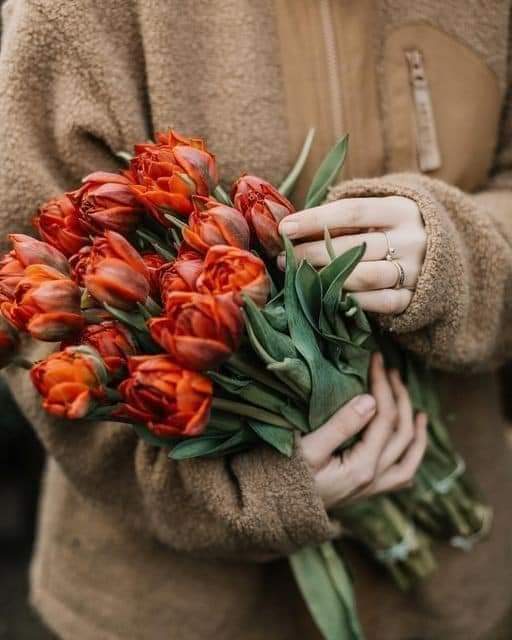 شقه موقعها مميز جدا - واجهه بحدائق الاهرام