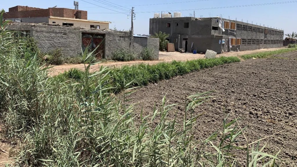 #مزرعة دواجن للبيع