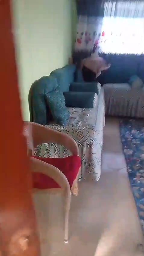 التلاتيني الجديد الرئيسي ترسا الهرم