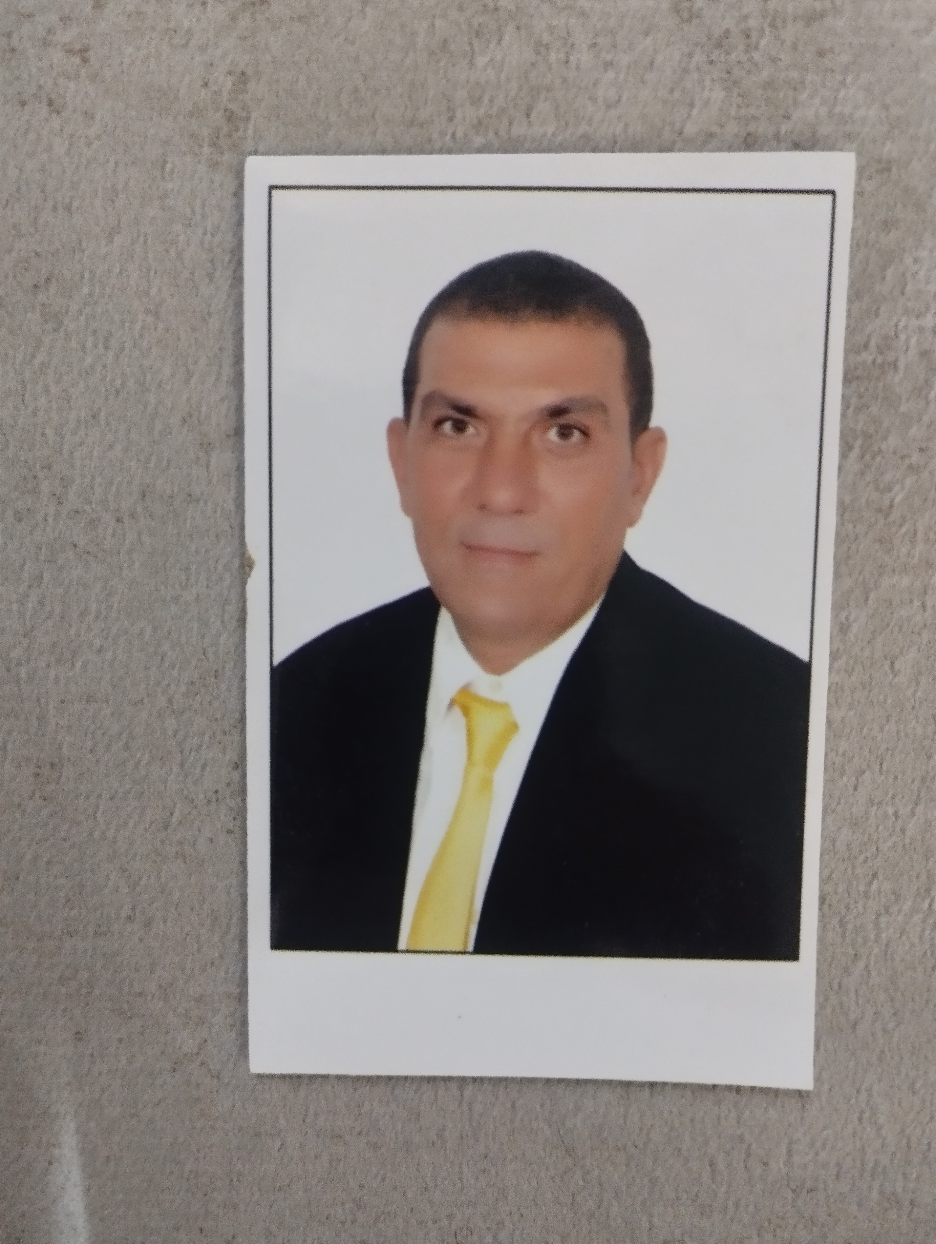 حدائق الاهرام البوابه الاولي منطقه ز