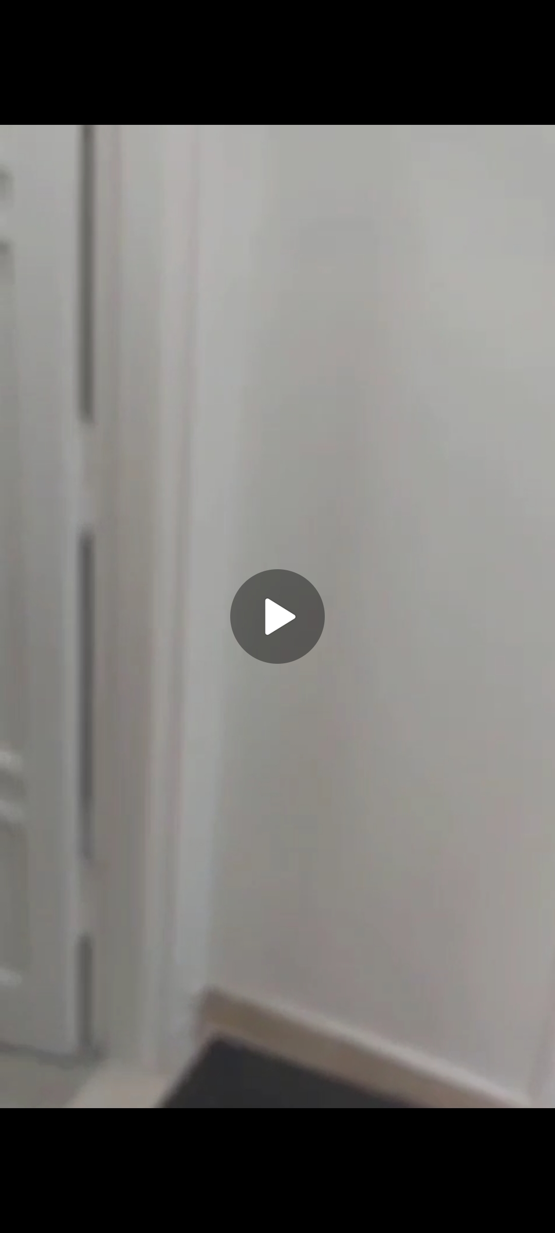 السواح أمام القصر الجمهوري