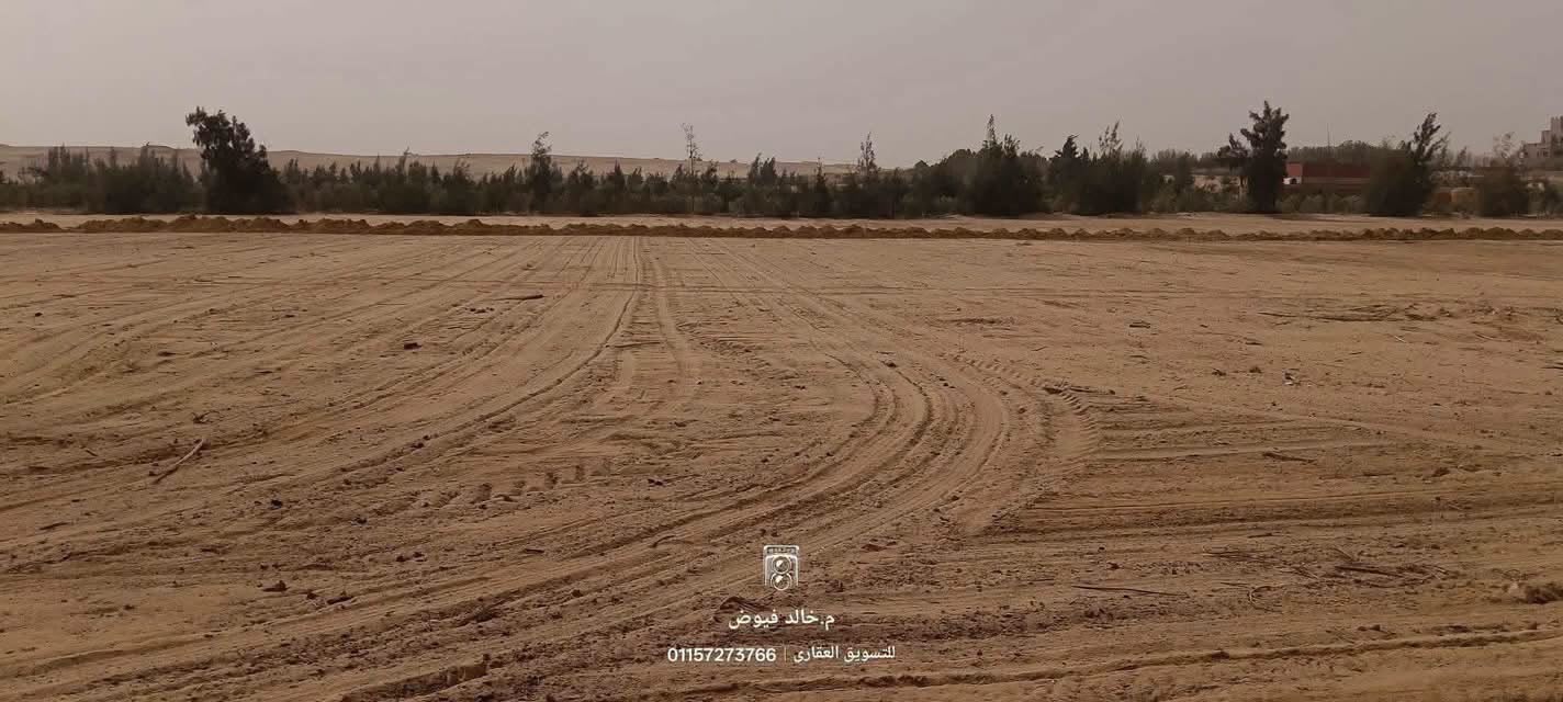 310 فدان للبيع في وادي النطرون