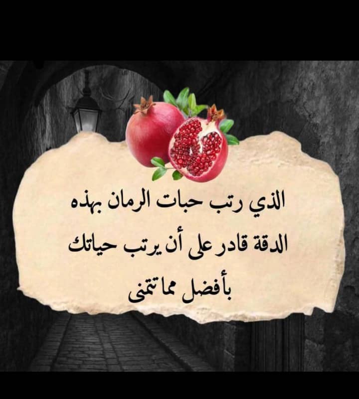  منيره جرين هاوس 