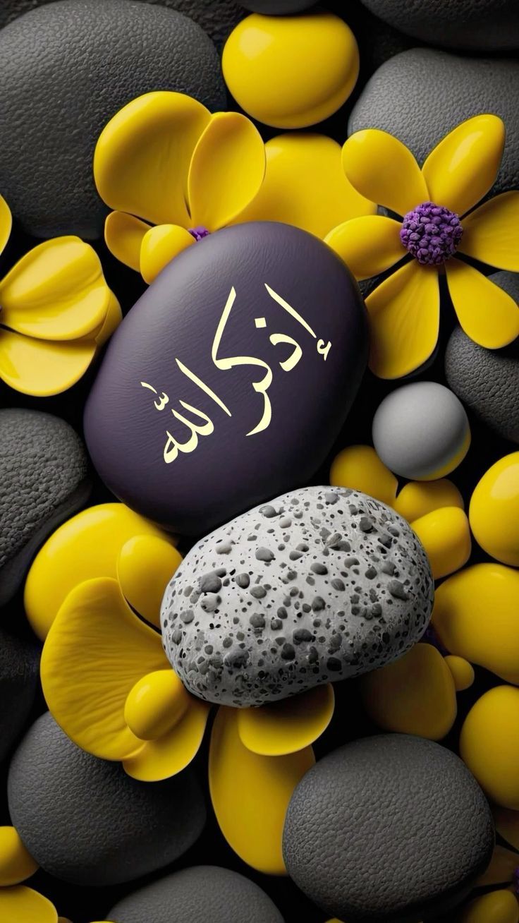 #شقه بالشيخ زايد الحي 16 منطقه 4